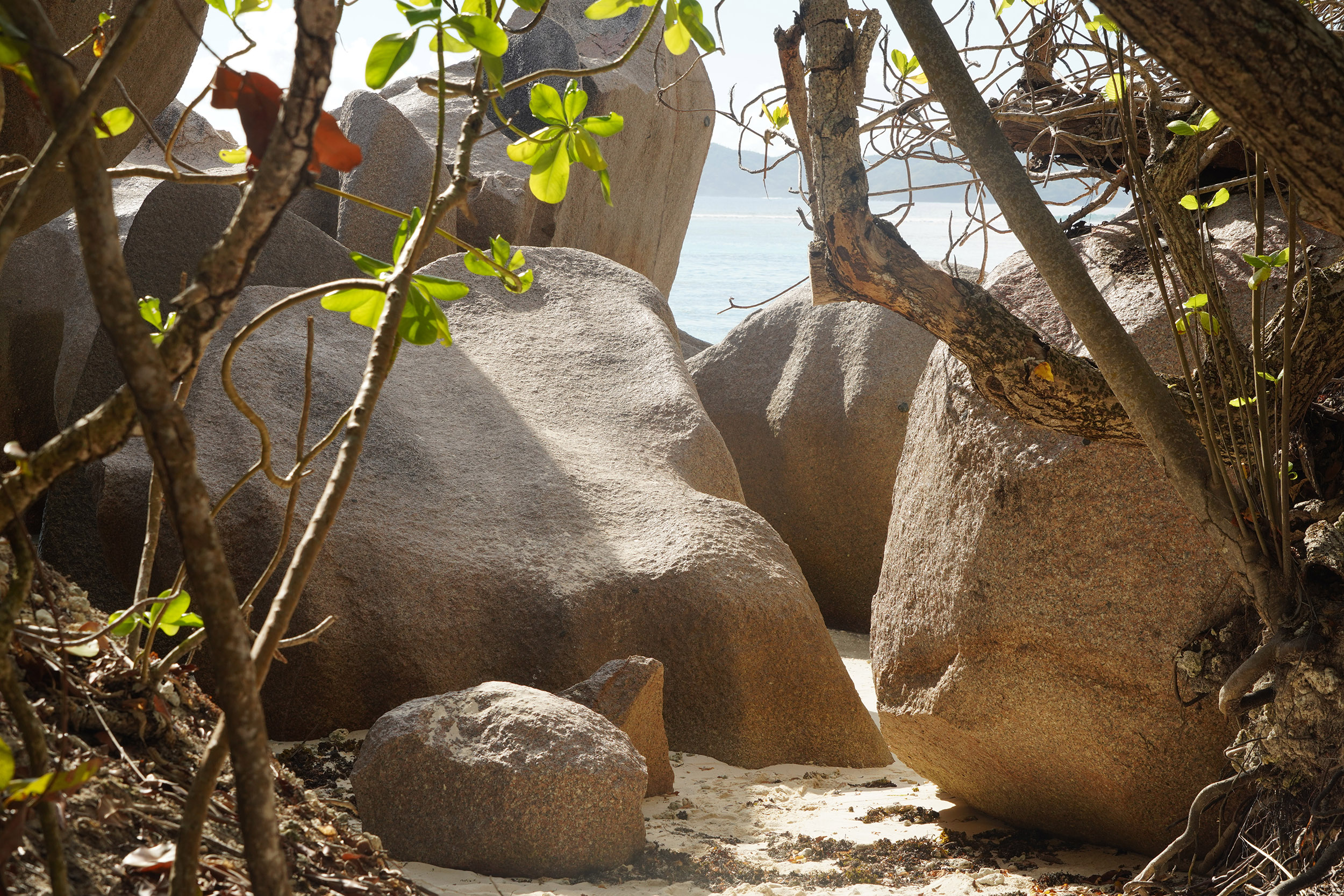 Anse Côte d'Argent de La Digue aux Seychelles