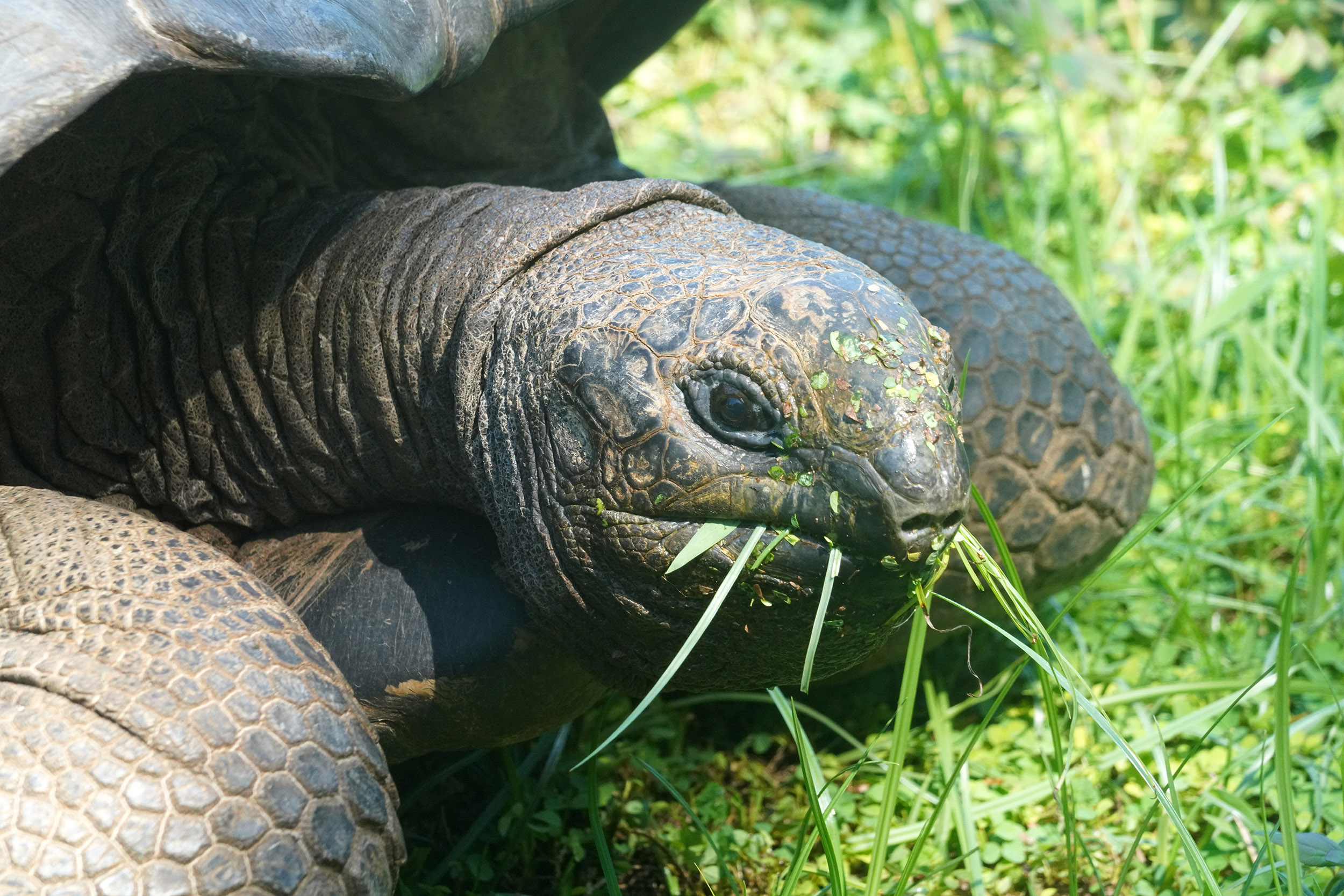 Club Med des Seychelles sur l'ile Saint Anne