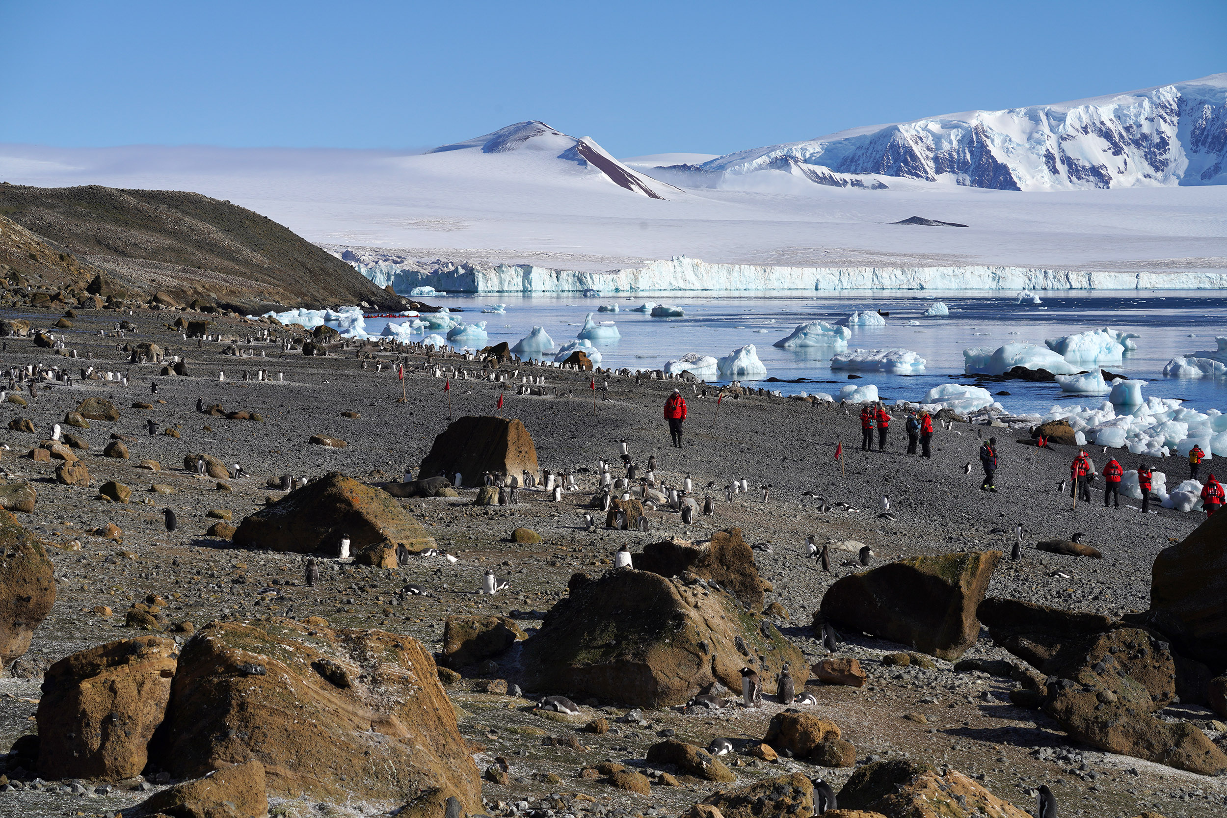 Brown Bluff, formation volcanique à la pointe nord de l'Antartique