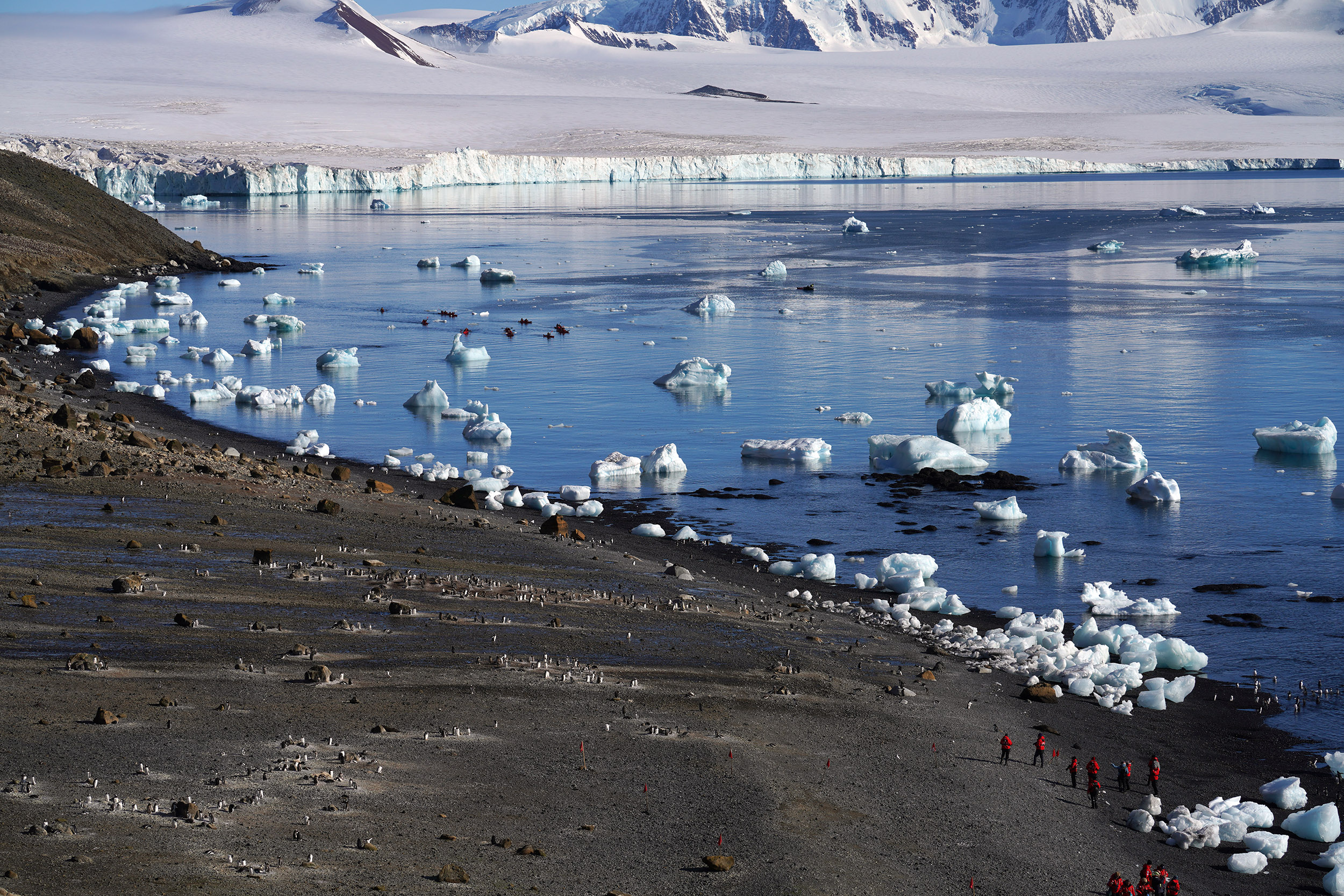 Brown Bluff, formation volcanique à la pointe nord de l'Antartique