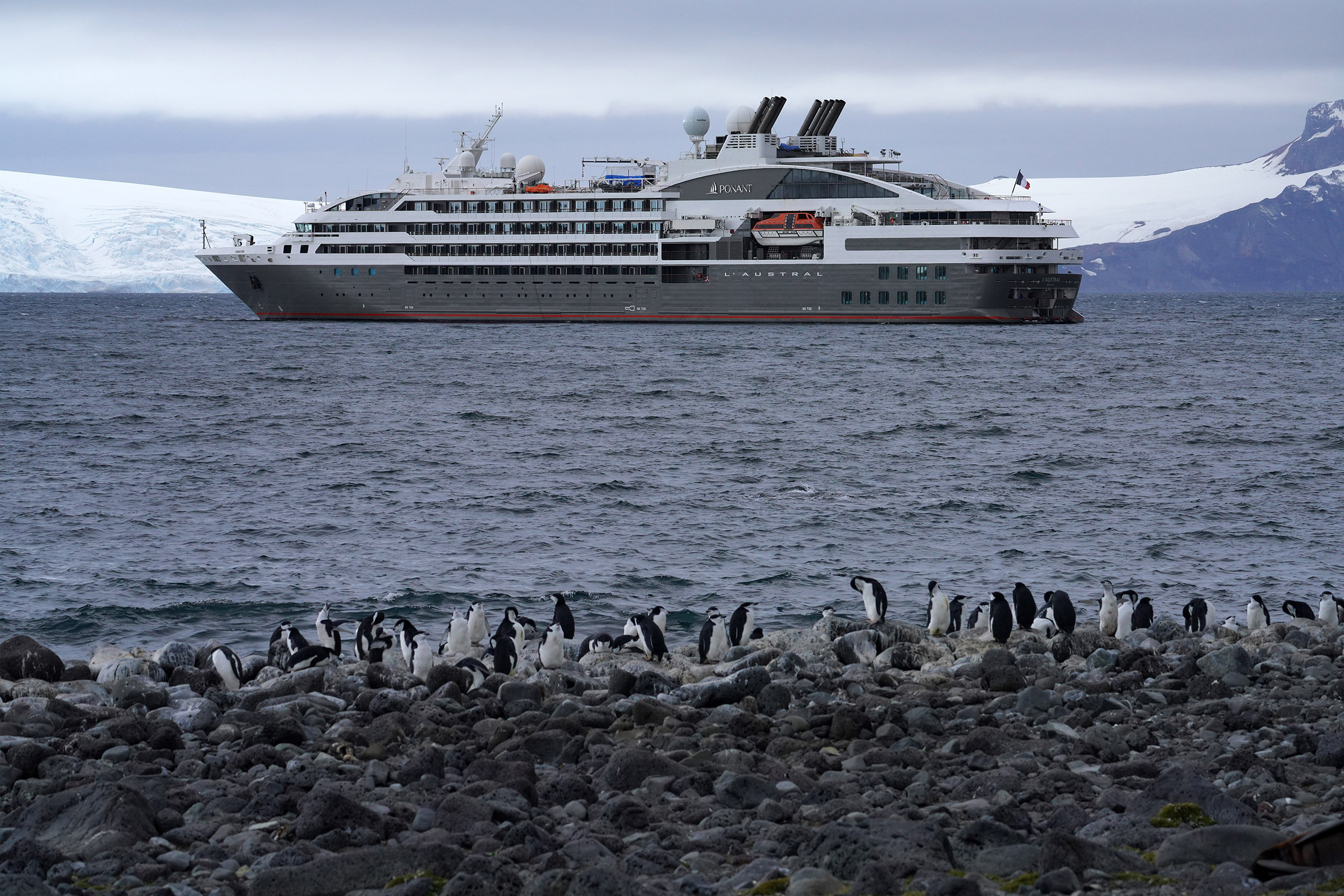 L'Austral nous attend