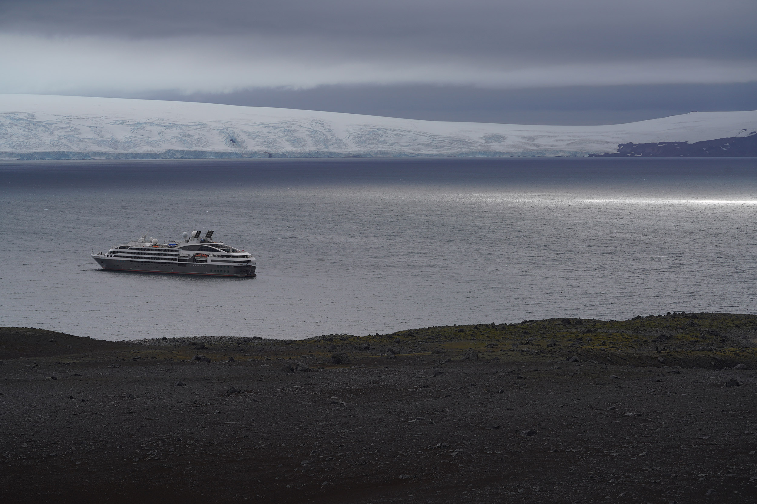 Ile de Penguin Island