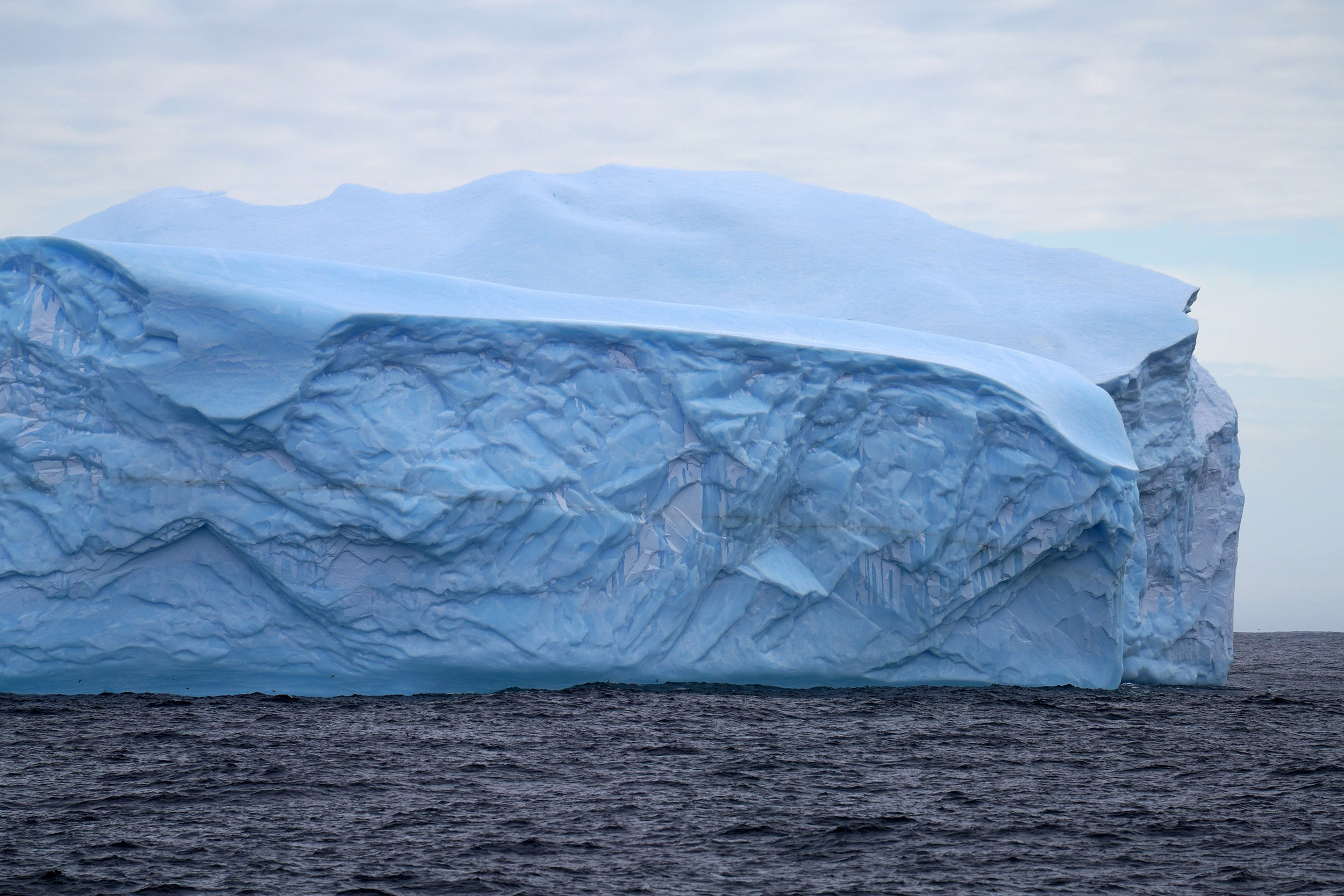 Iceberg