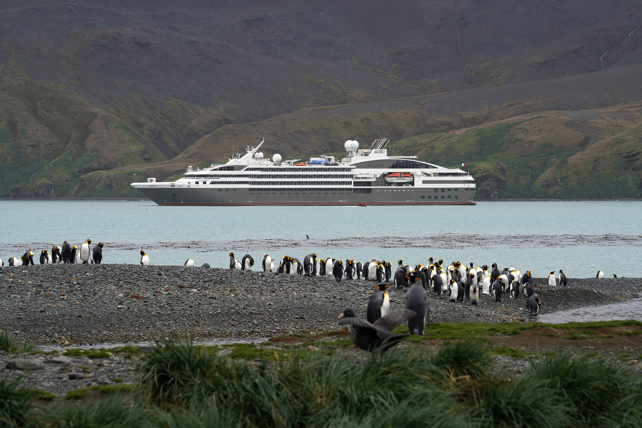 Fortuna Bay - Iles de Géorgie du Sud
