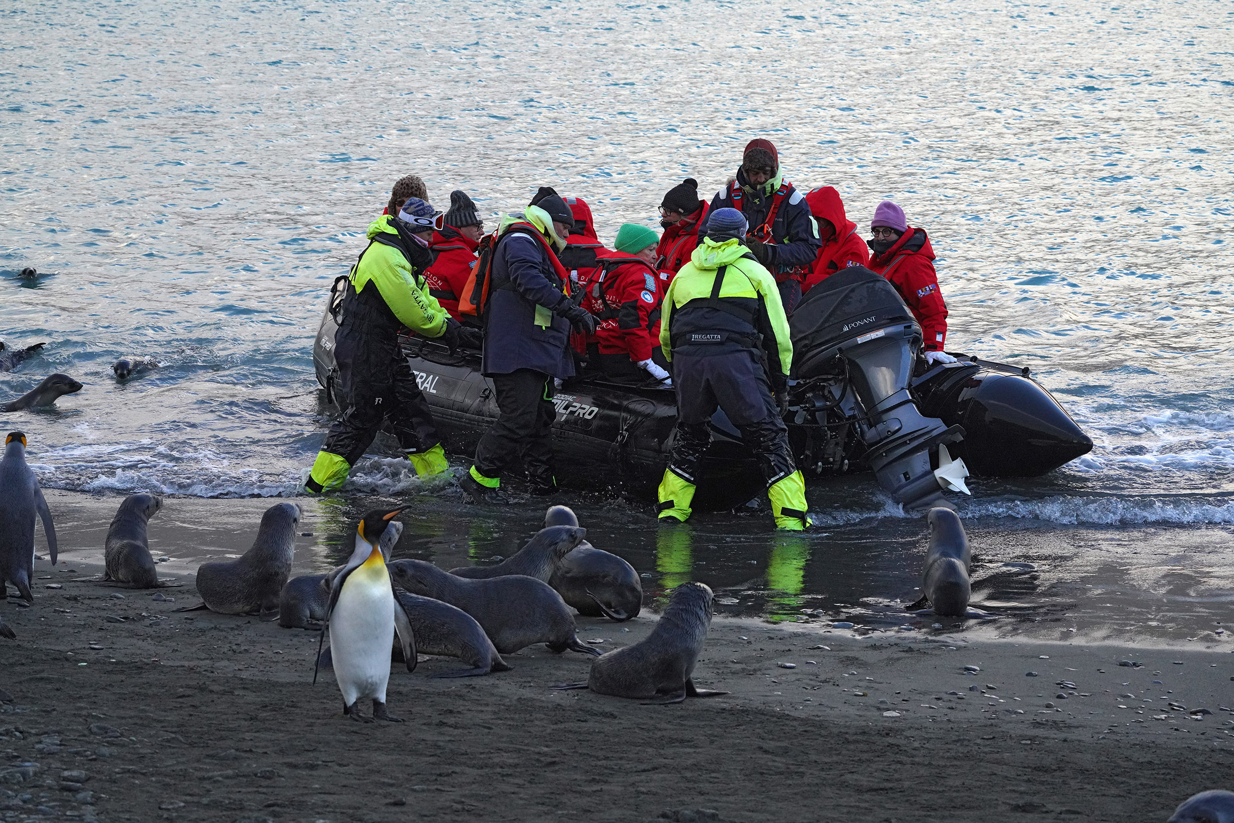 Embarquement en Zodiac vers l'Austral