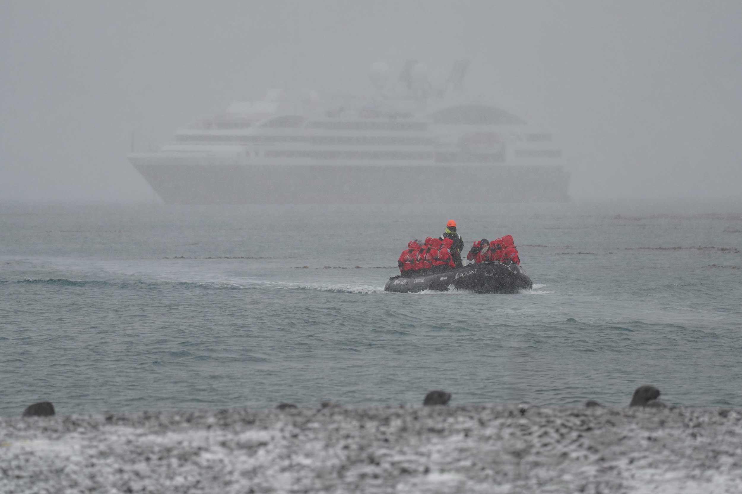 Retour vers l'Austral