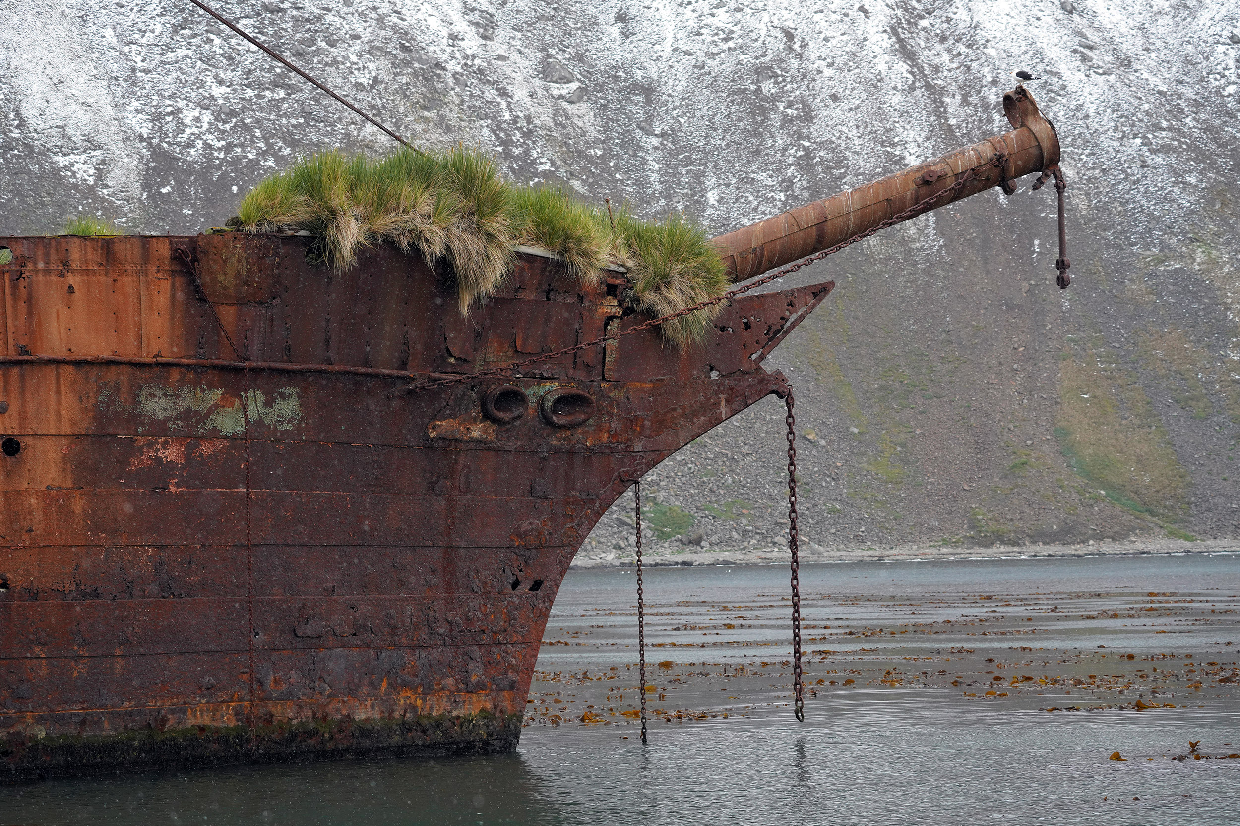 Le Bayard , navire du XIXe siècle