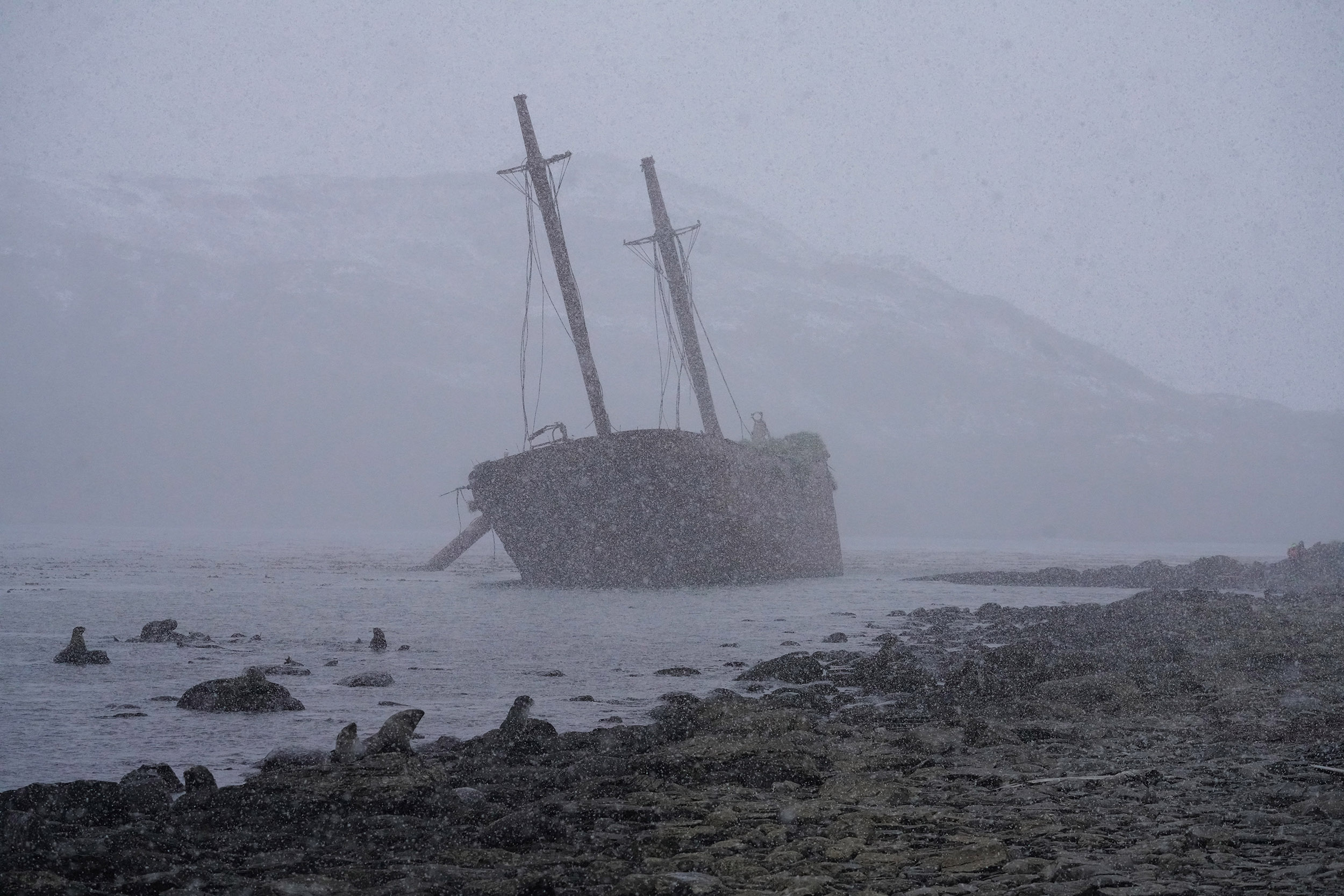 Le Bayard , navire du XIXe siècle