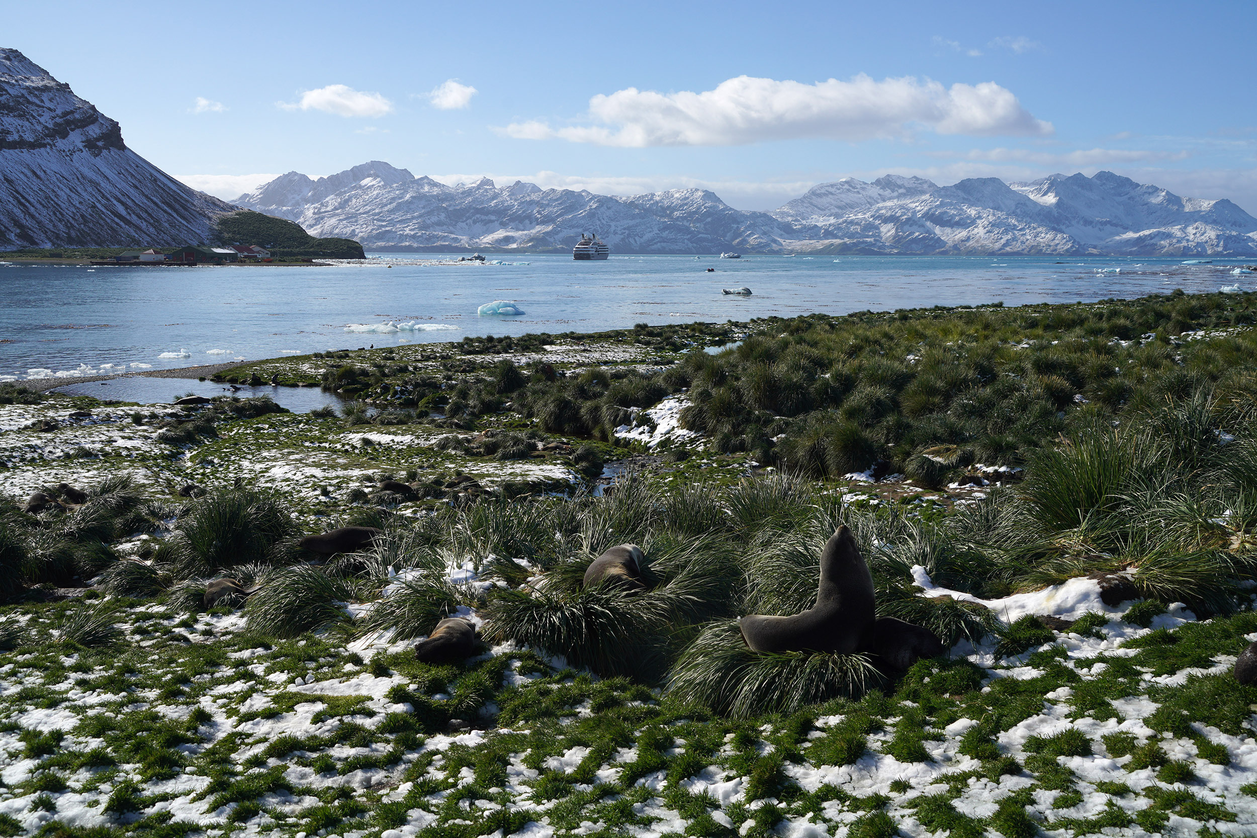 Baie abritée de Grytviken, sur la côte est