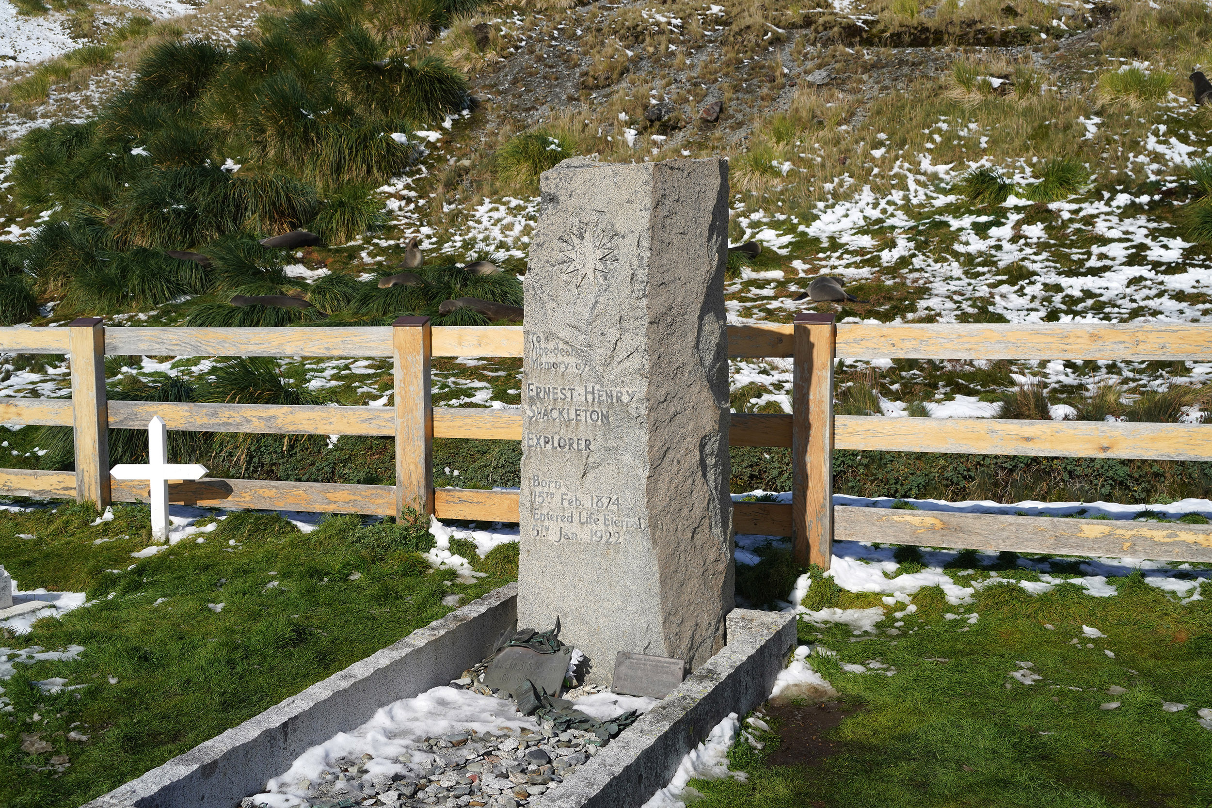 Tombe de Sir Ernest Shackleton, célèbre explorateur antarctique
