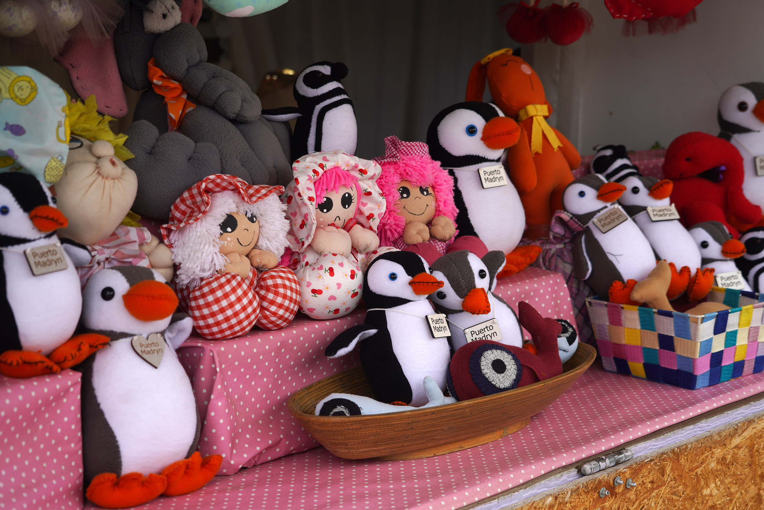 Escale à Puerto Madryn