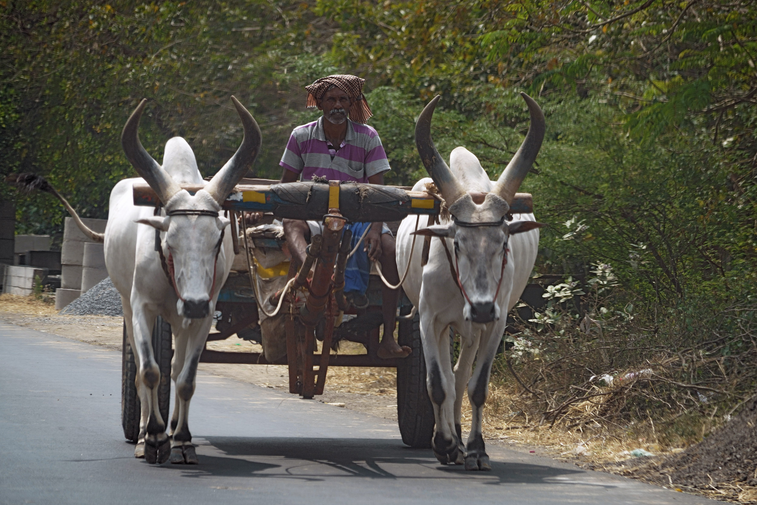 Sur la route de Madurai