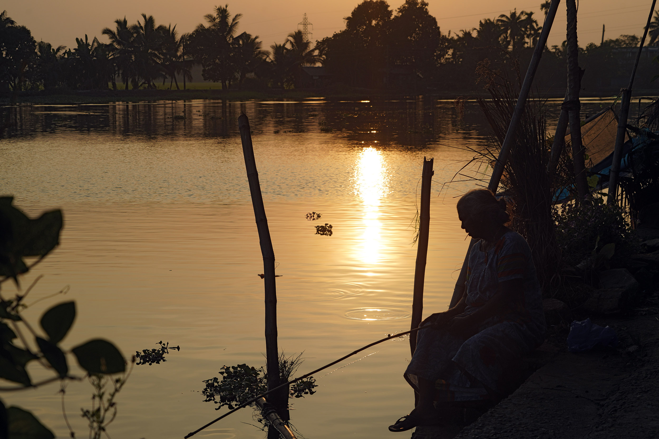 Monde lagunaire des Backwater - Kérala