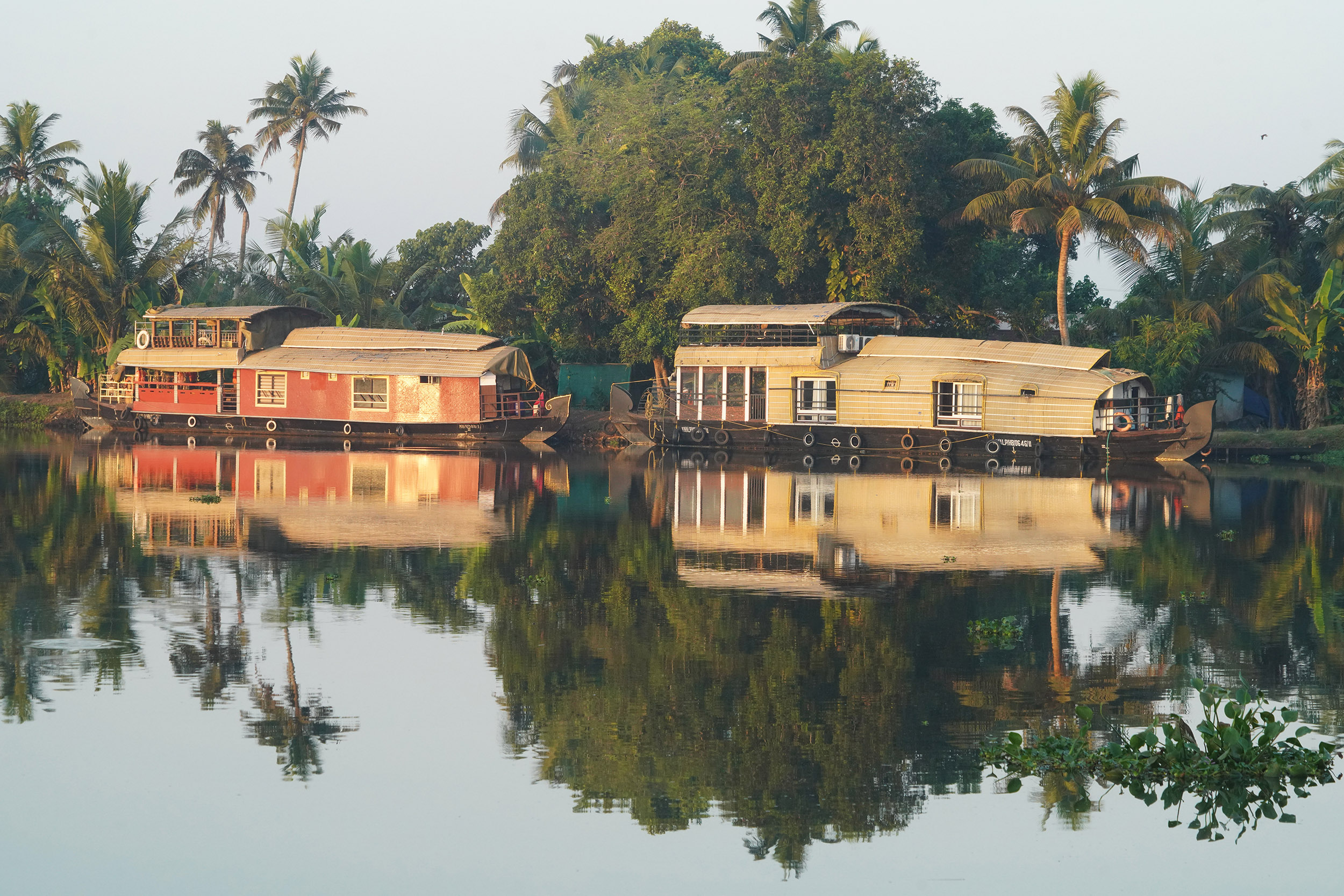 Monde lagunaire des Backwater - Kérala