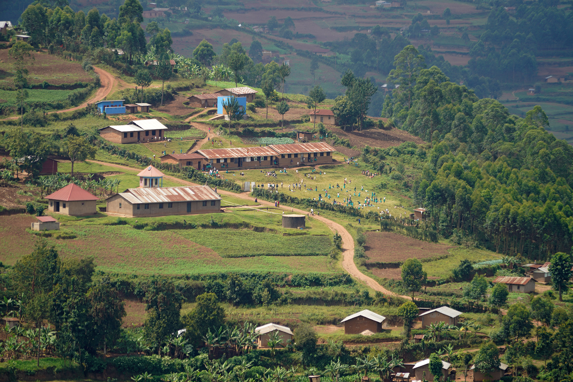 Ouganda - Perle de l'Afrique