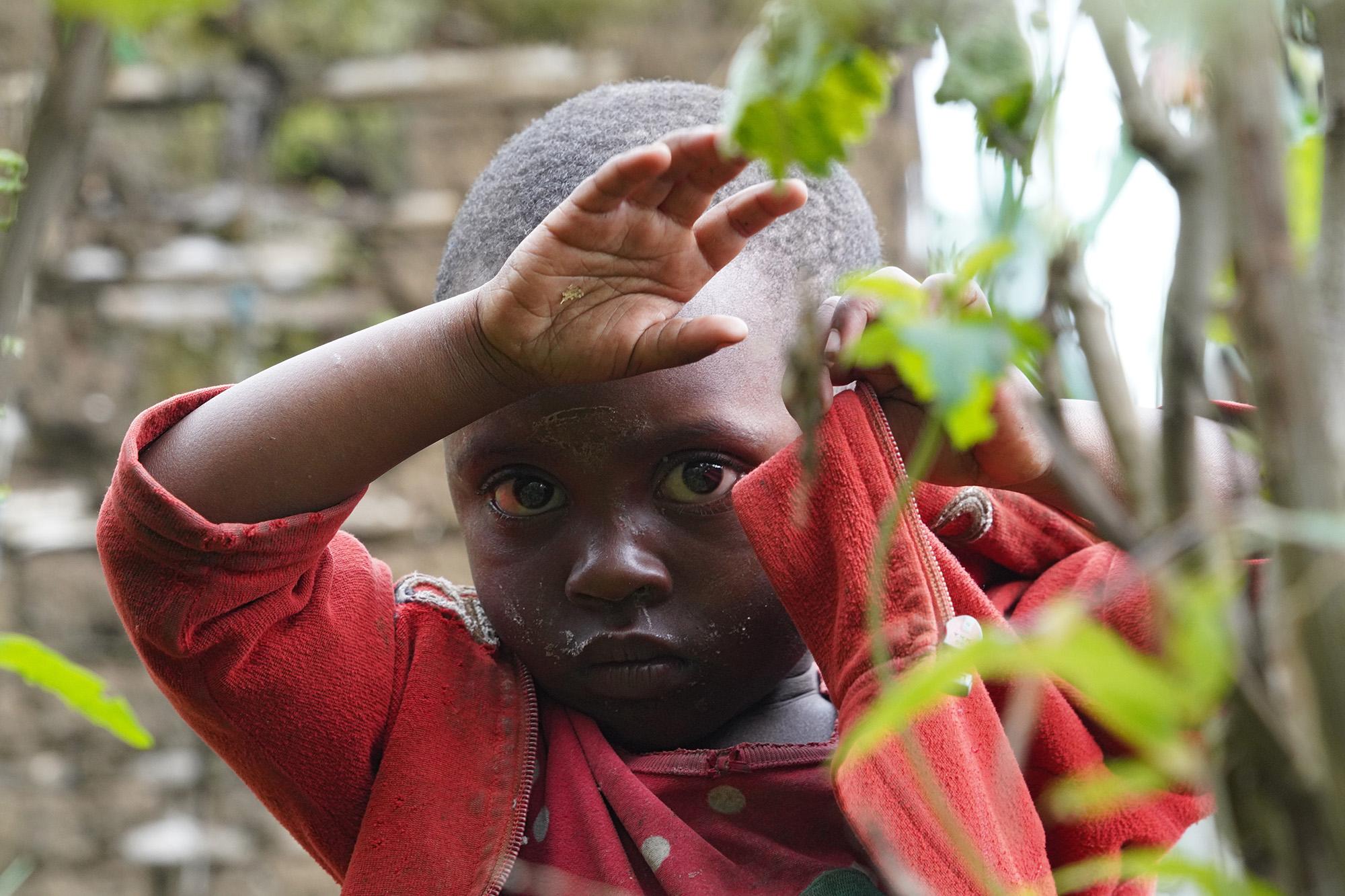 Ouganda - Perle de l'Afrique