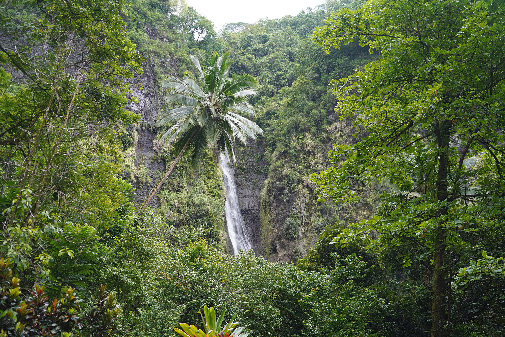 Cascade de Faaurumai (PK 22) - Ile de Tahiti