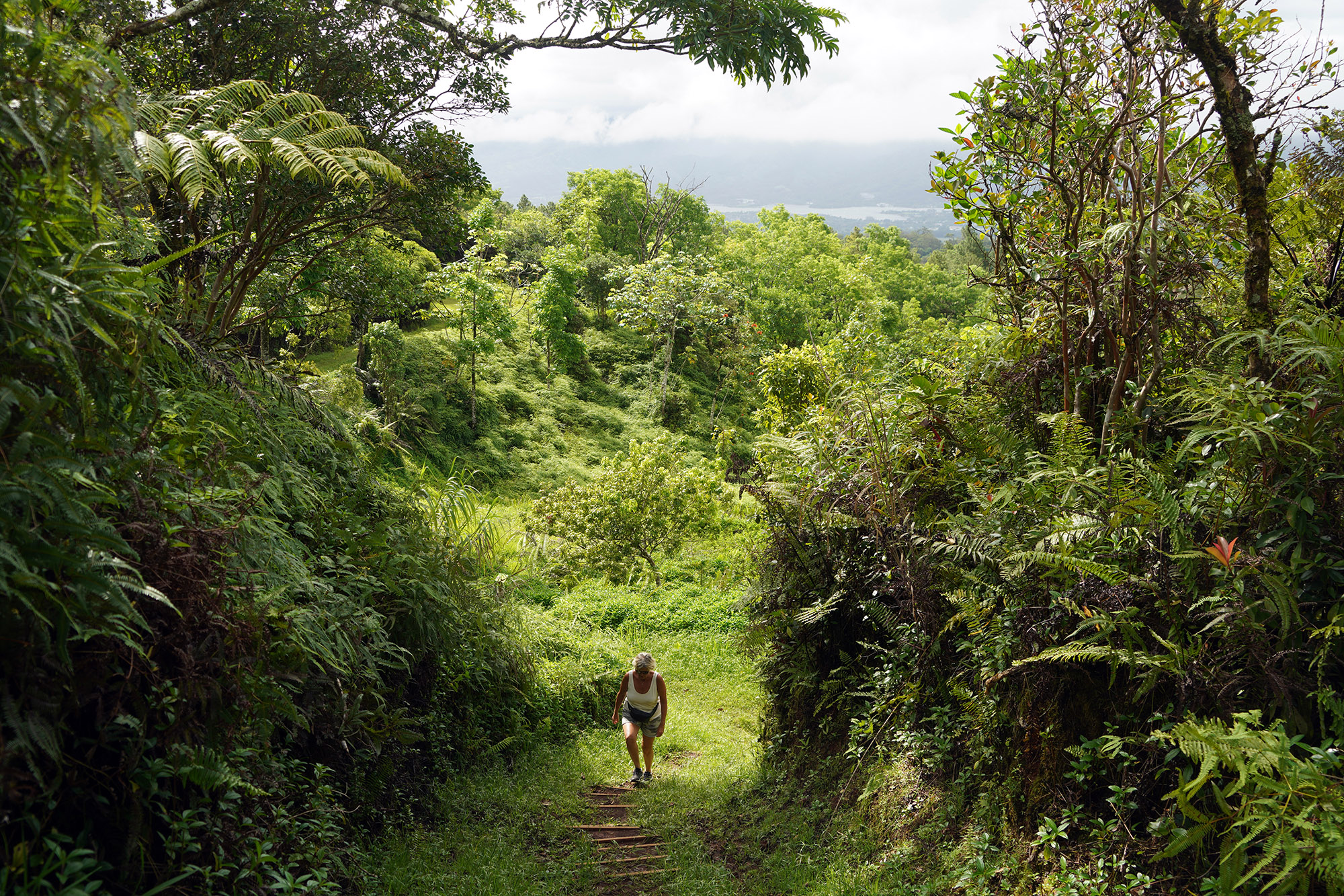 Plateau de Taravao - Ile de Tahiti