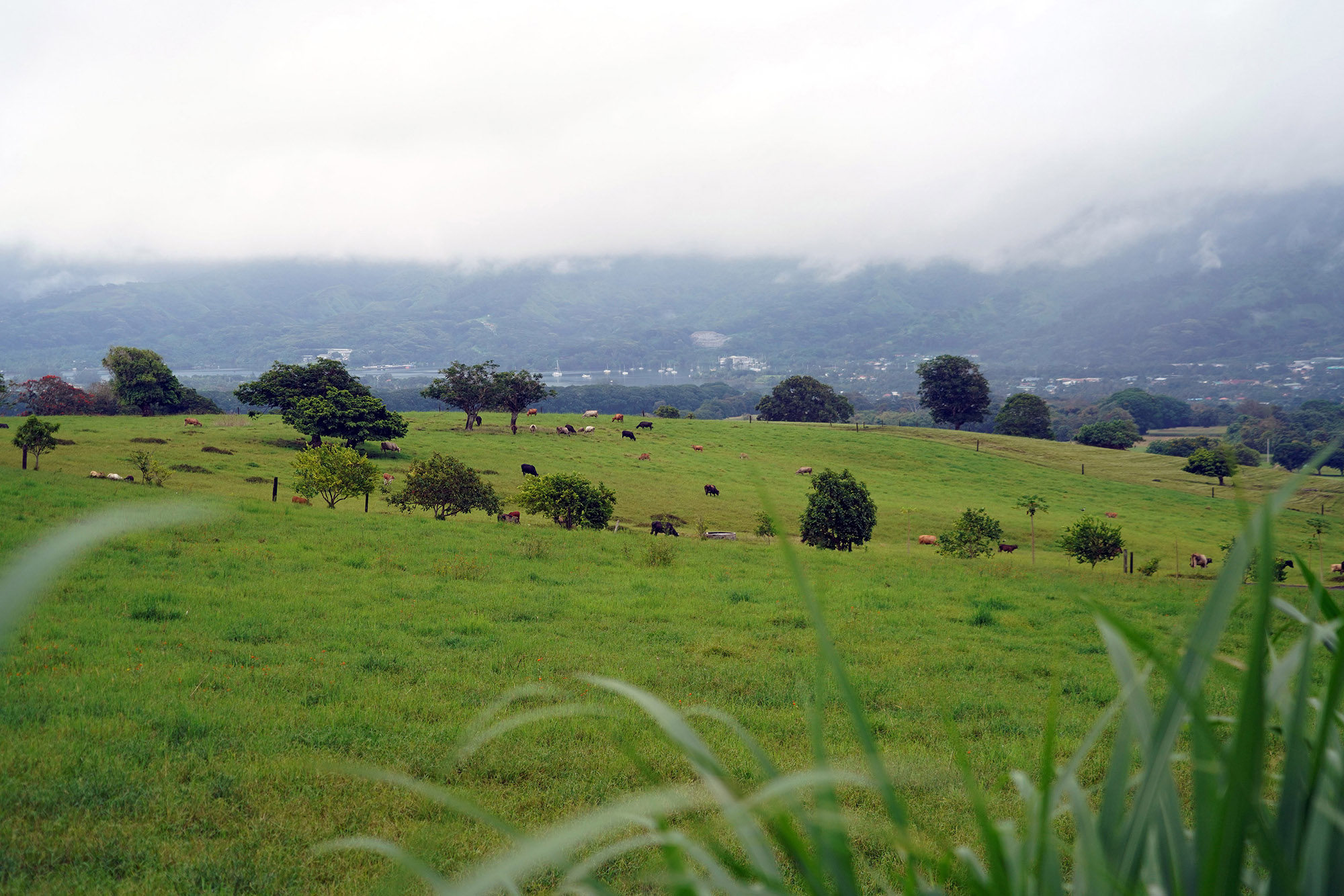 Plateau de Taravao - Ile de Tahiti