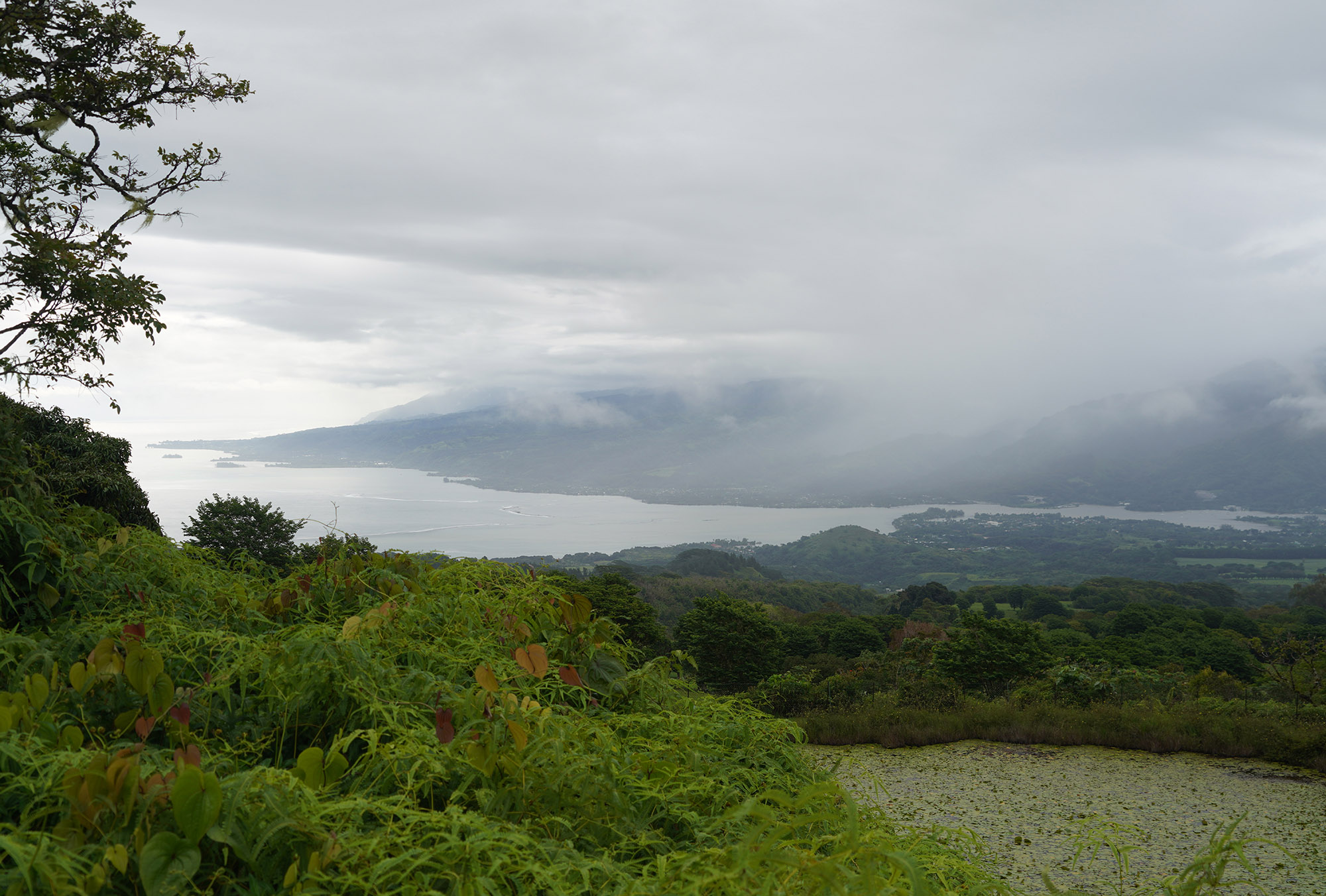 Plateau de Taravao - Ile de Tahiti