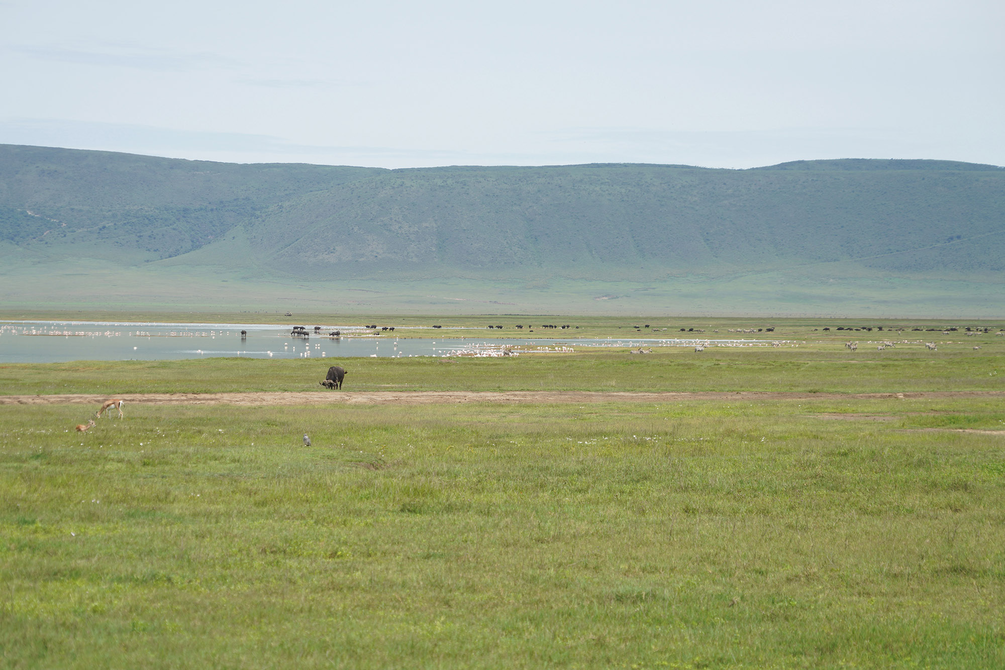 Vaste plaine du Ngorongoro