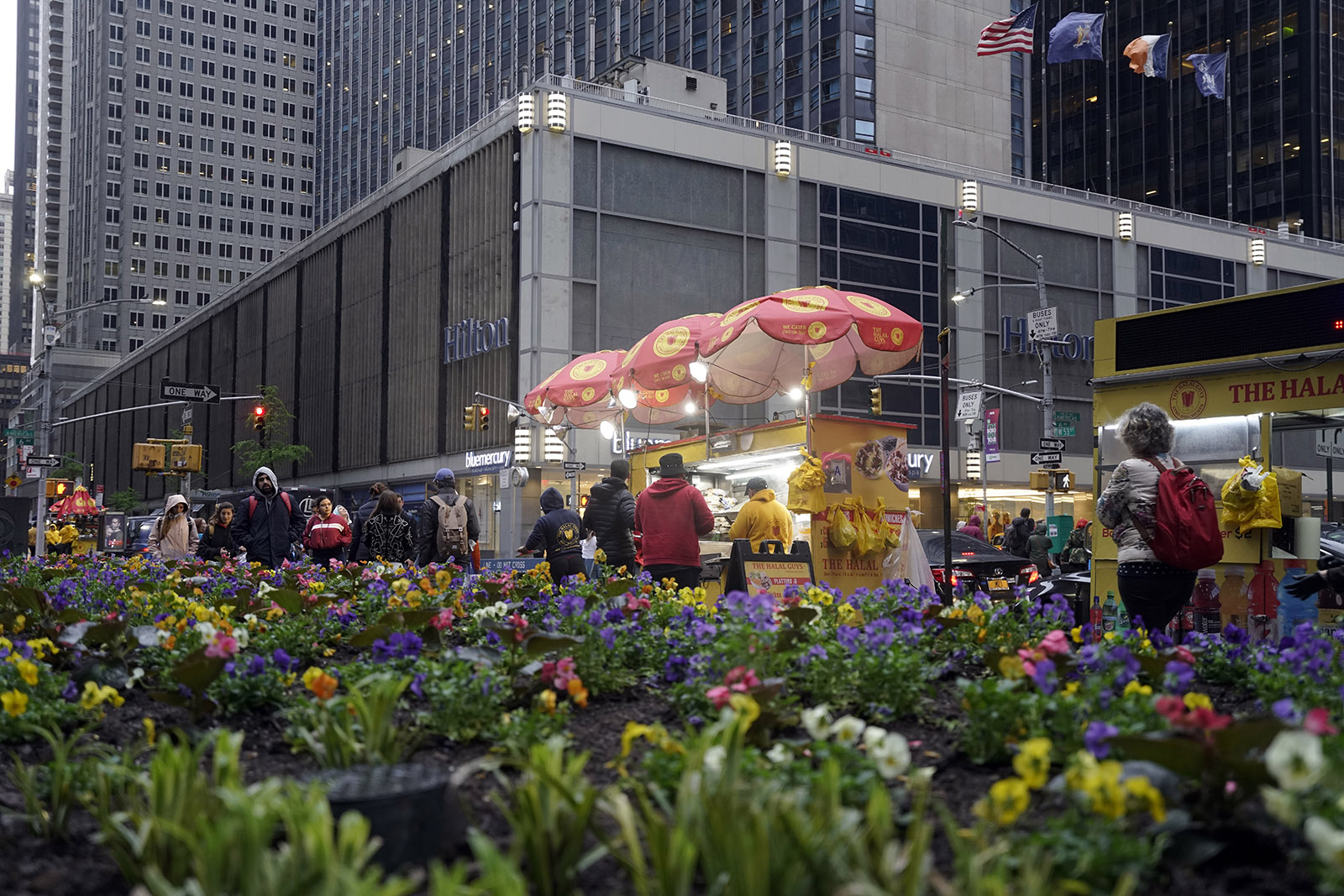NY 0519 136