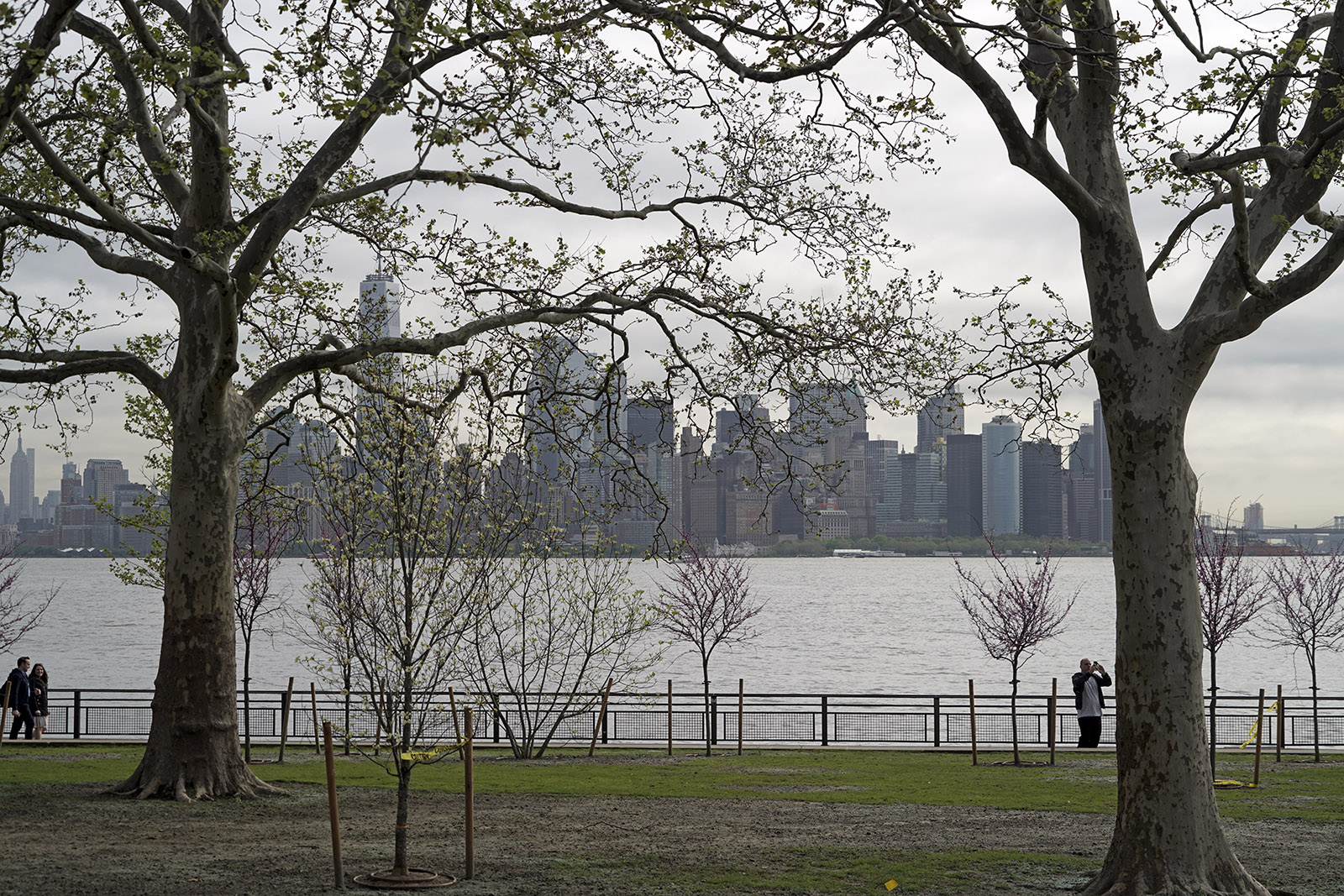 NY 0519 376