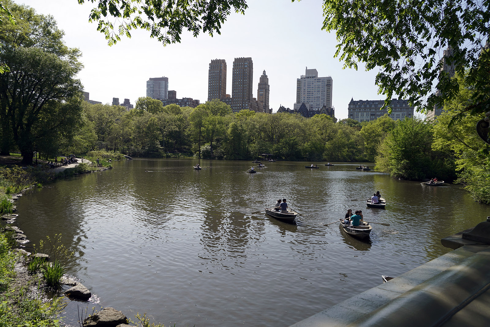NY 0519 510
