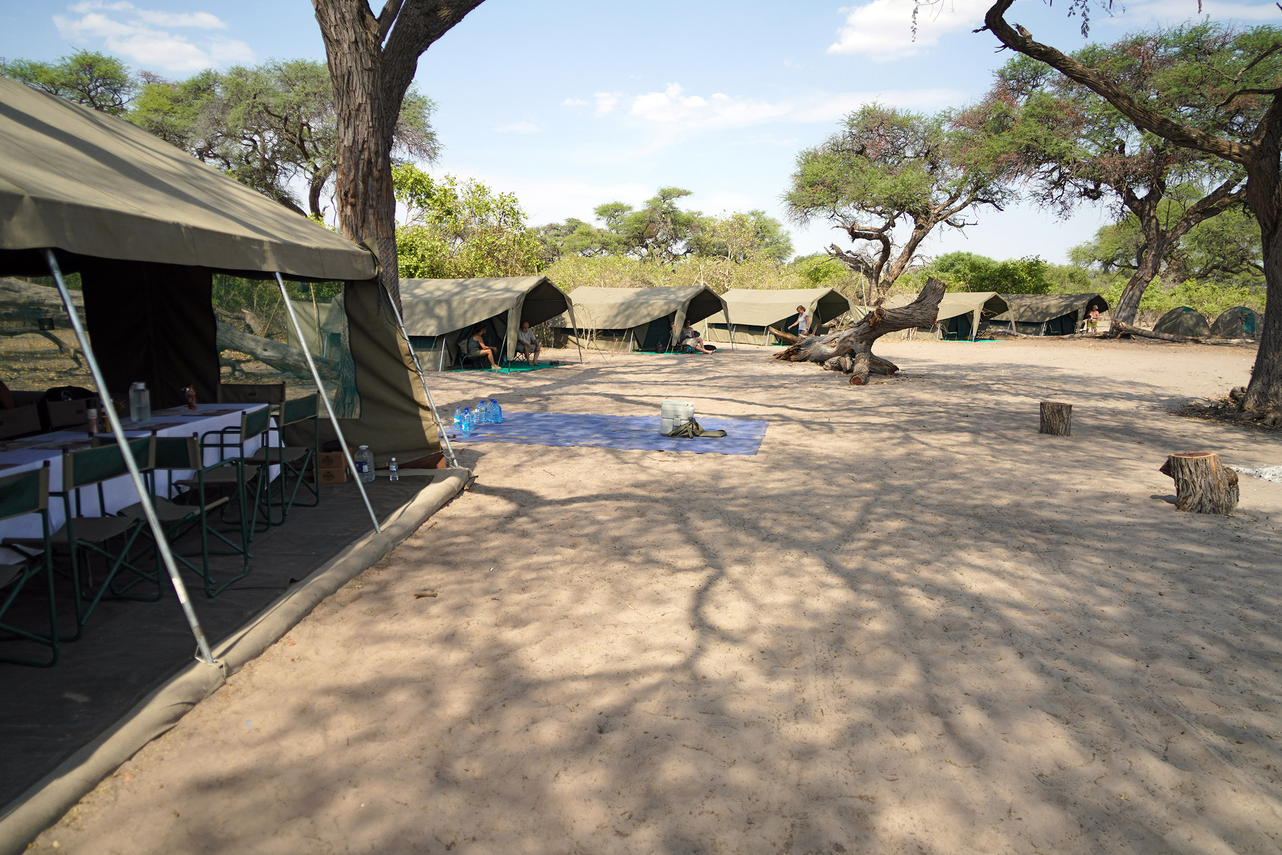 Moremi game reserve - Botswana