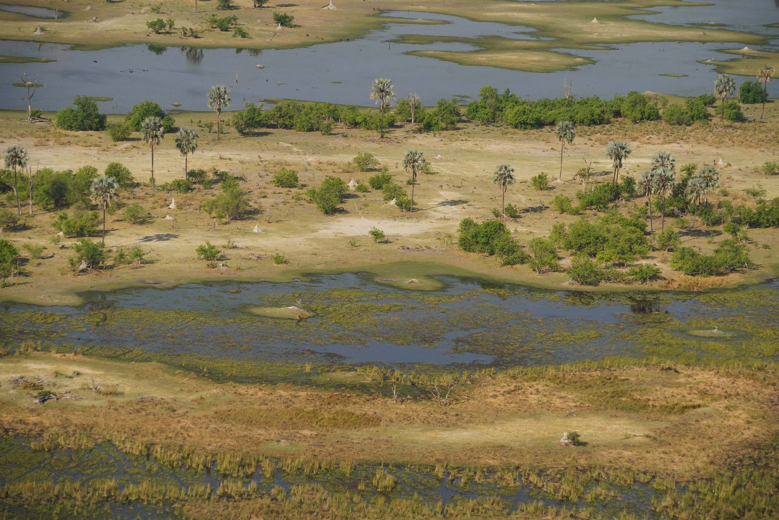 Delta de l'Okavango - Botswana