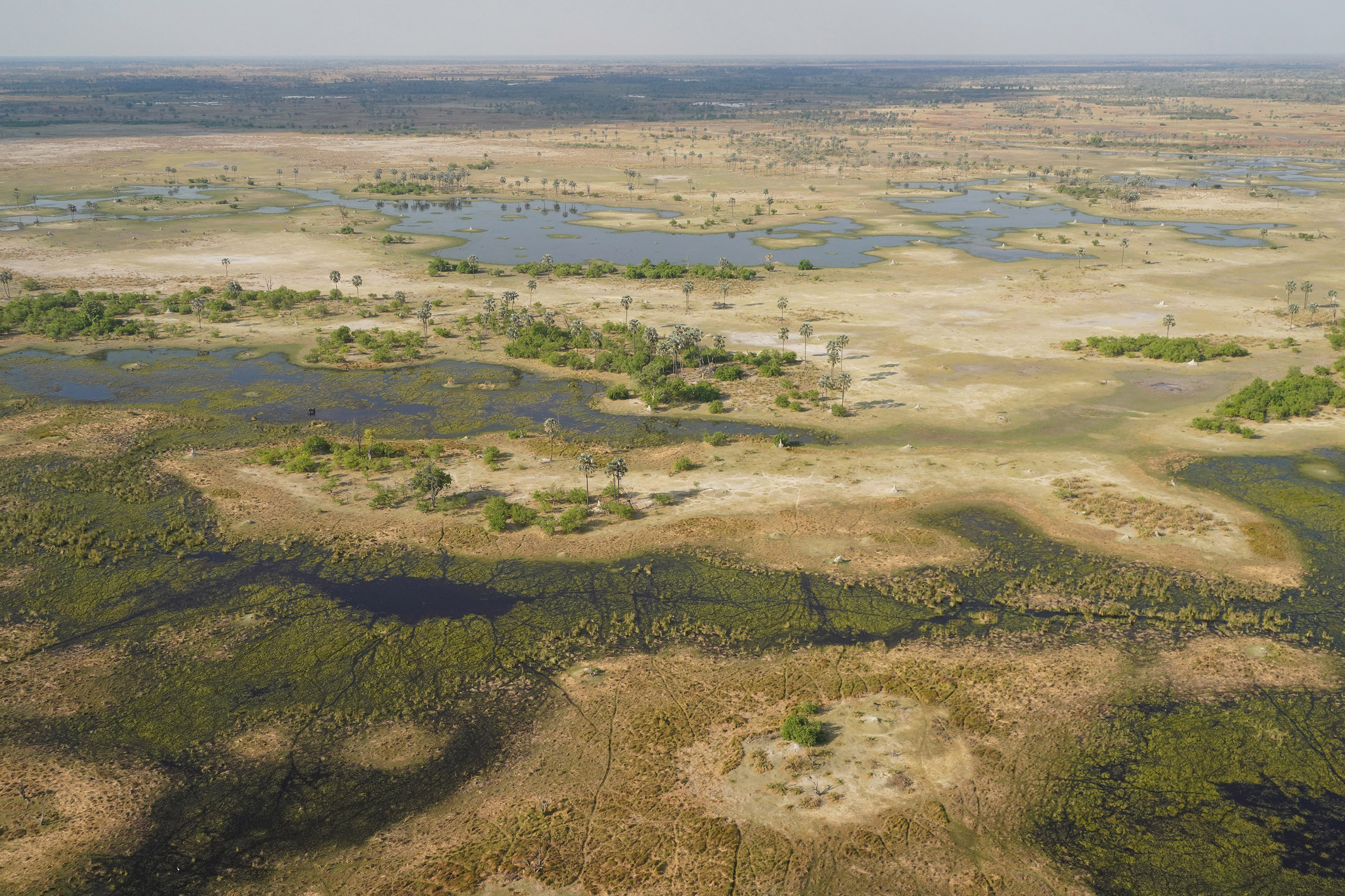 Delta de l'Okavango - Botswana