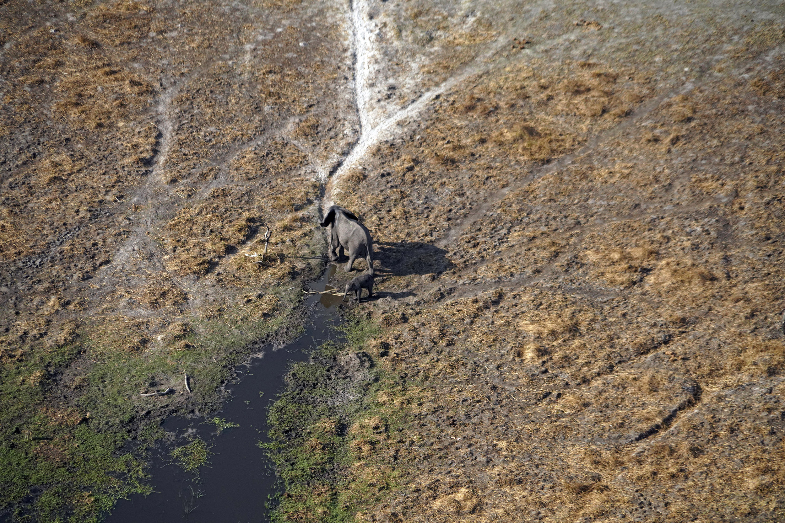 Delta de l'Okavango - Botswana