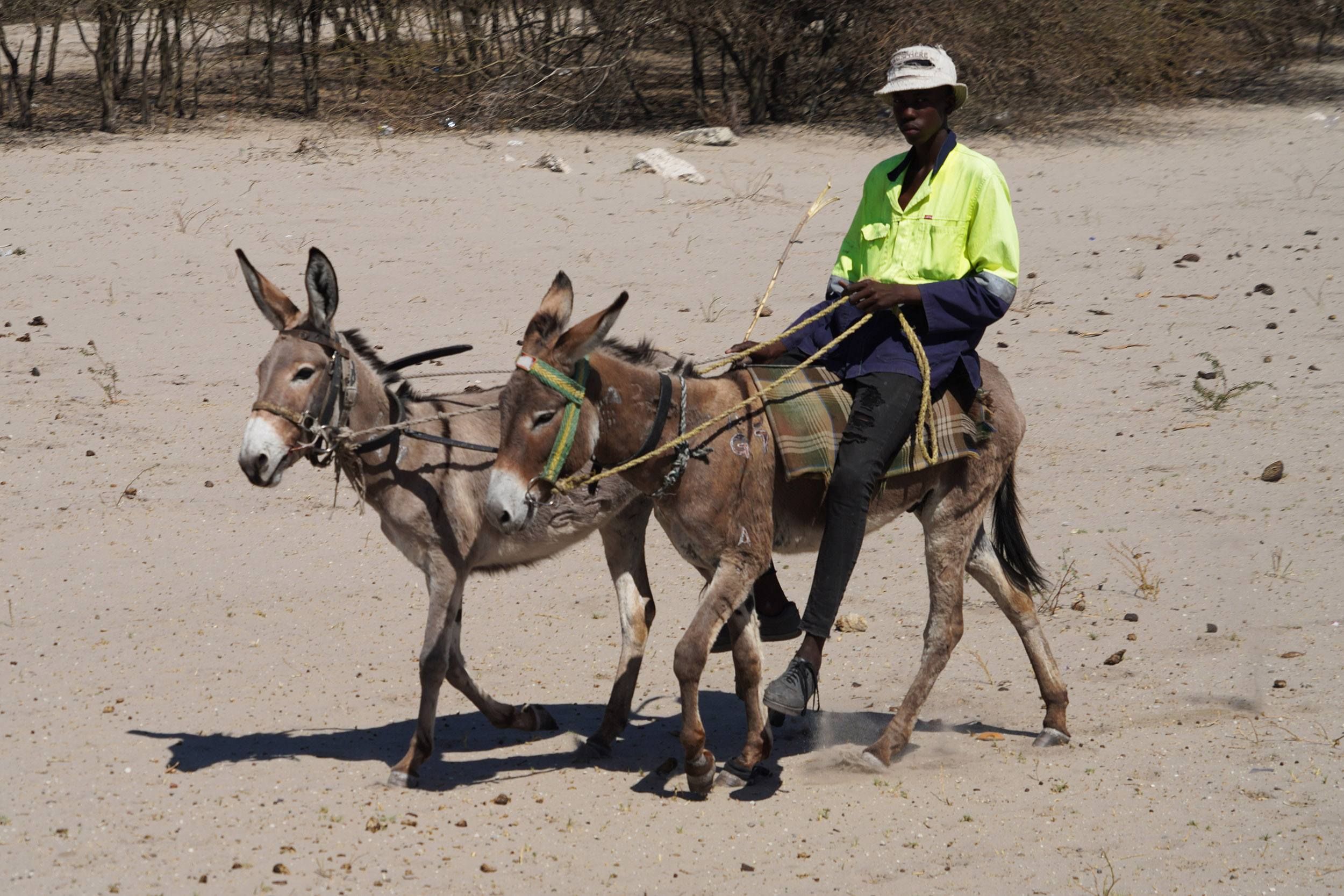 Entre Maun et Guma Lagoon - Botswana