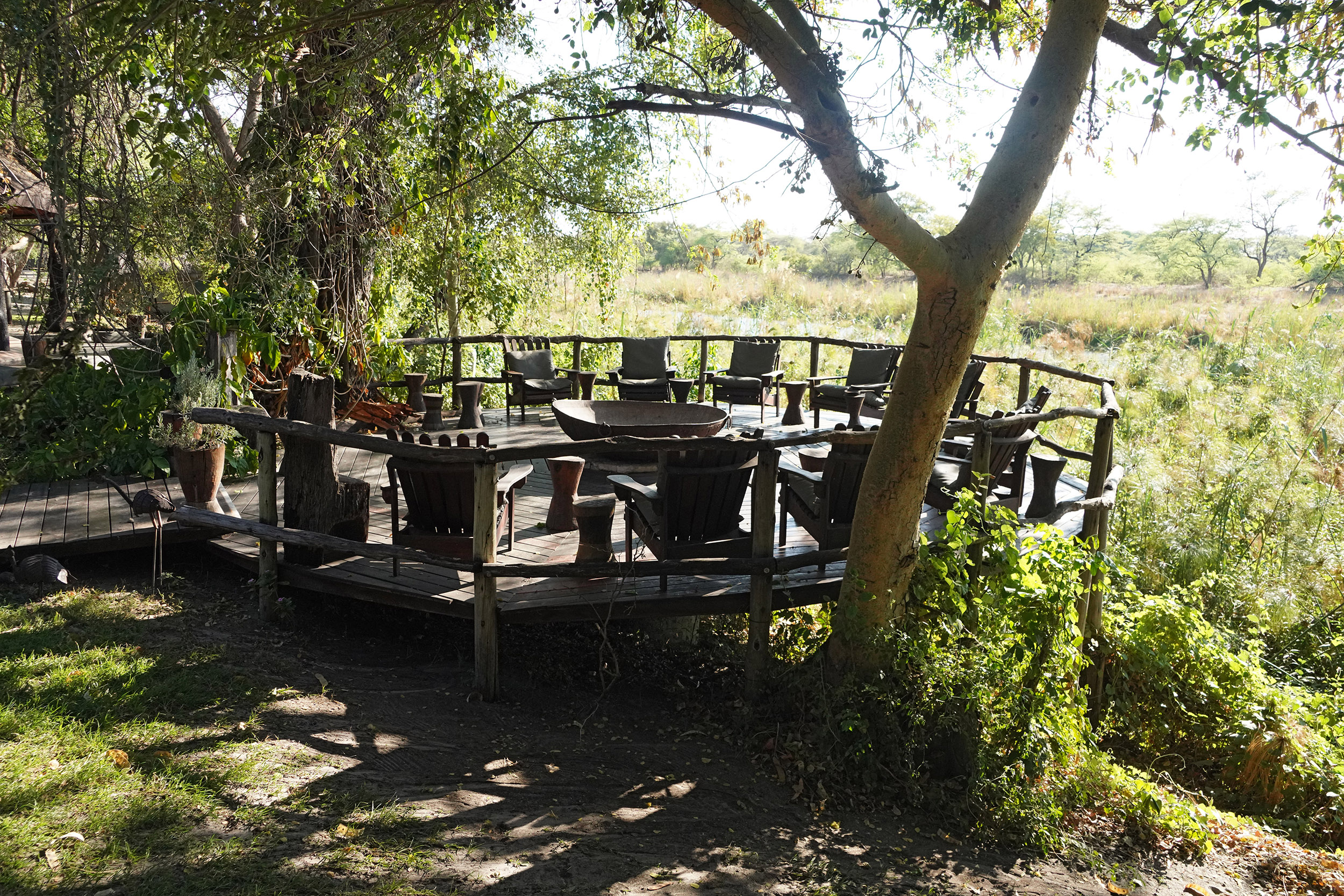 Parc national de Chobe - Botswana