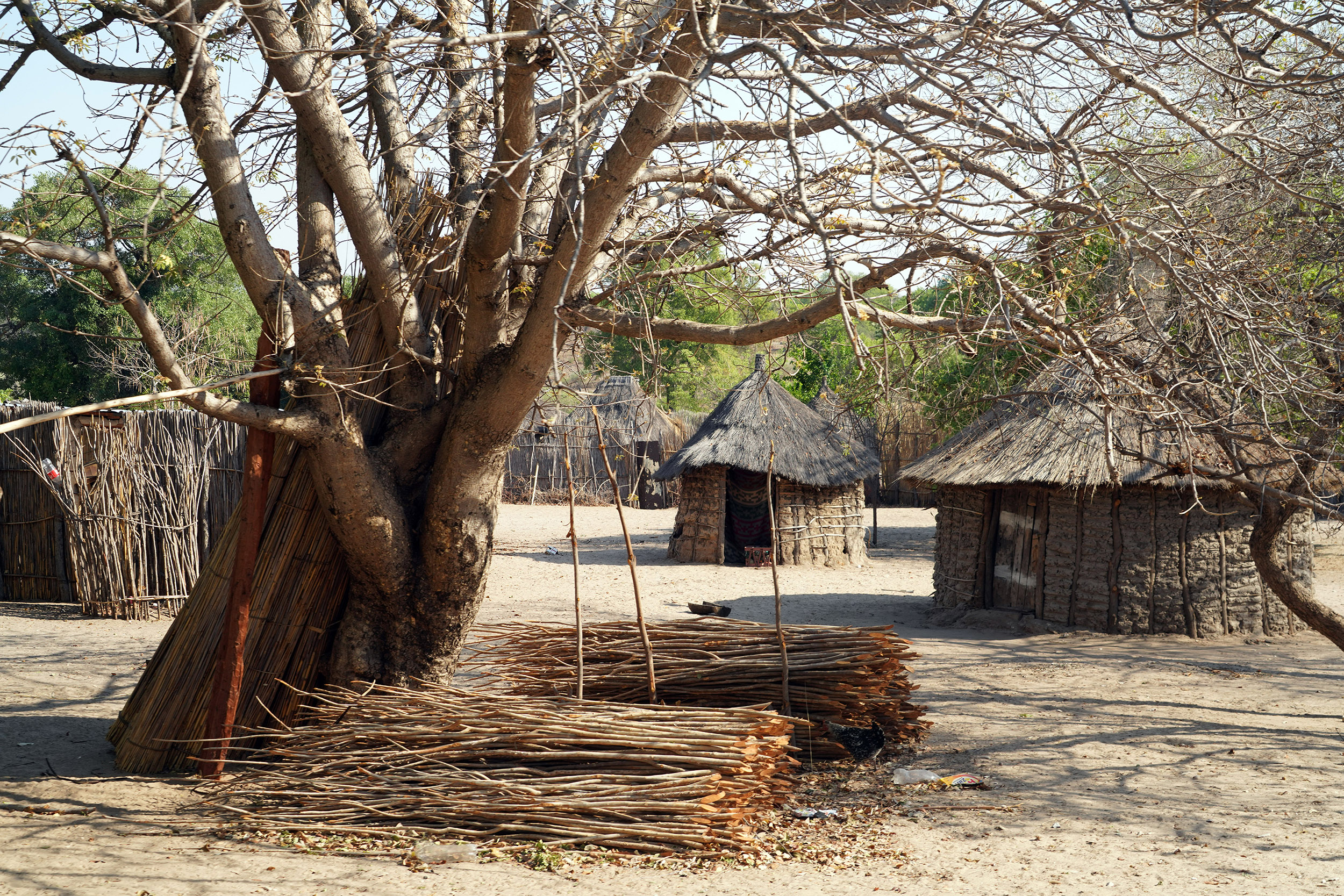 Parc national de Chobe - Botswana
