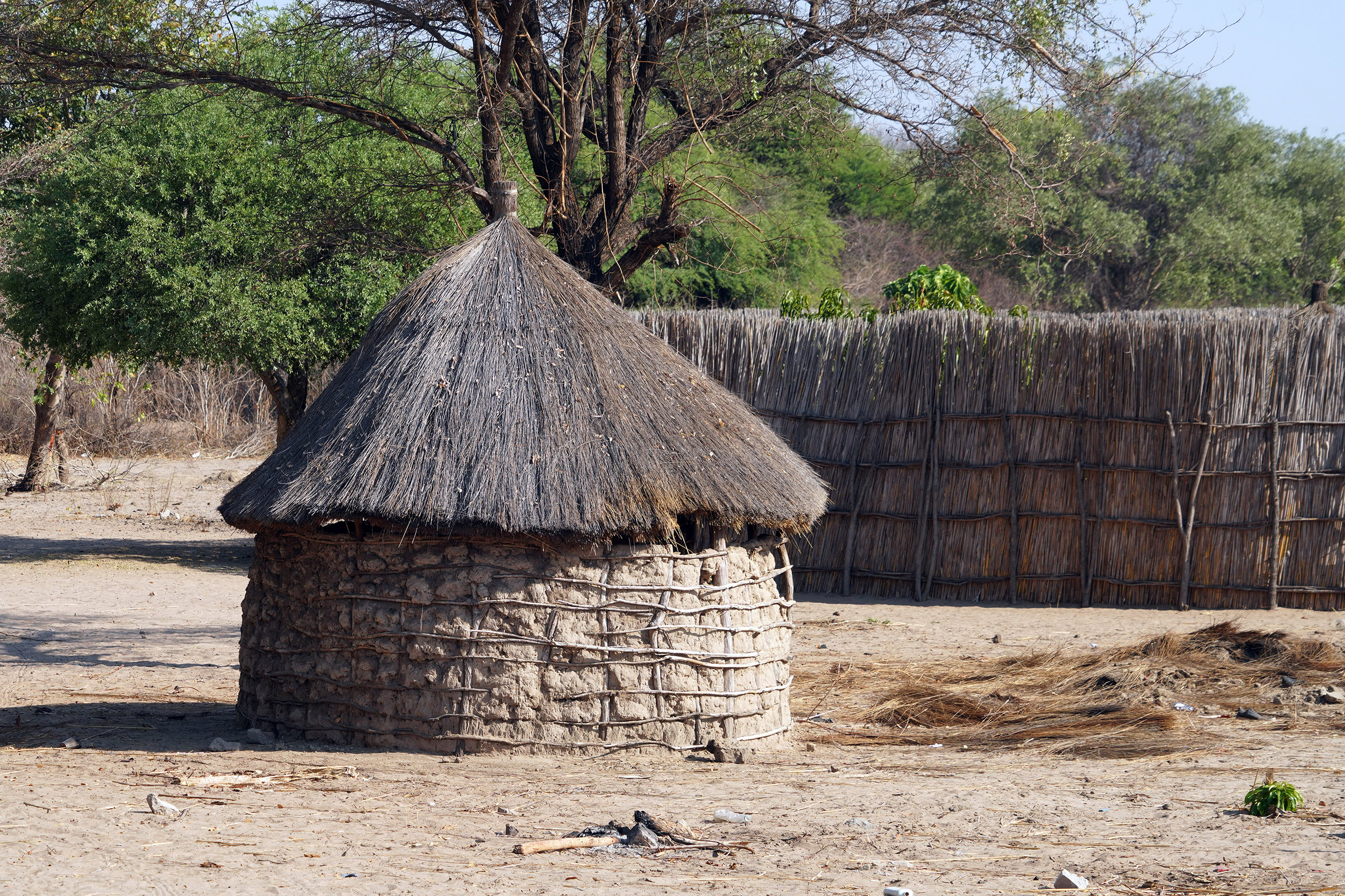 Parc national de Chobe - Botswana