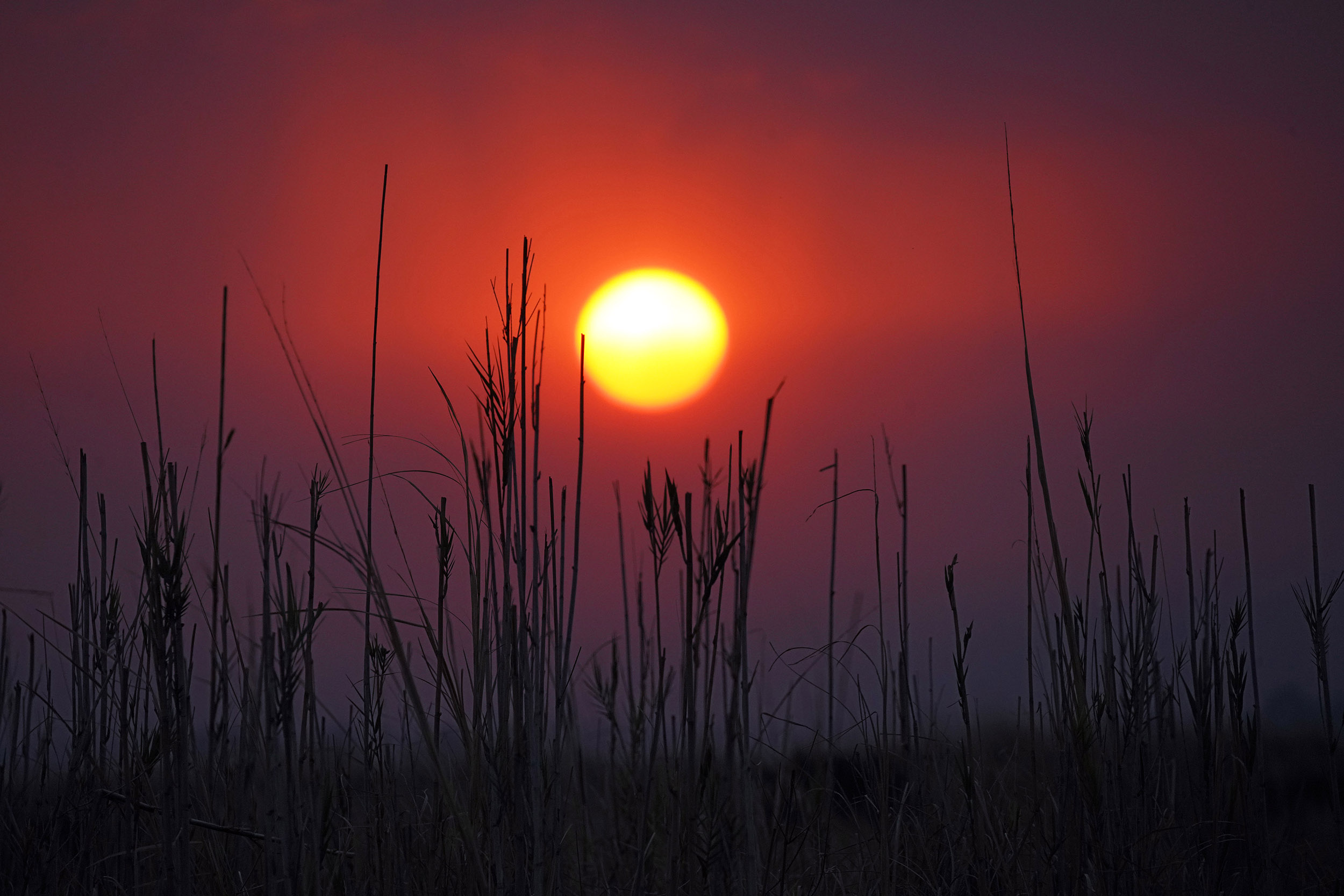 Parc national de Chobe - Botswana