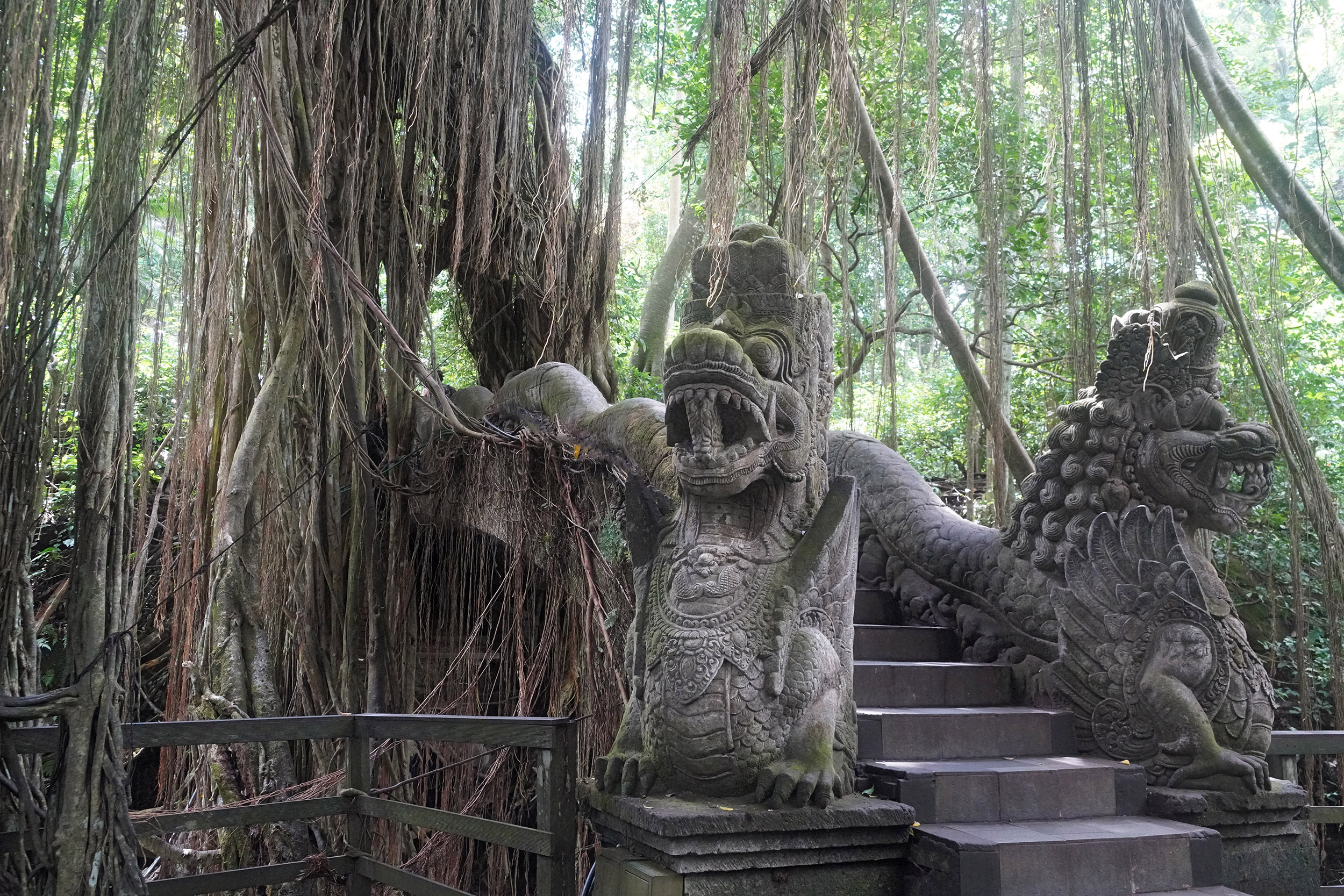 Forêt des singes à Ubud