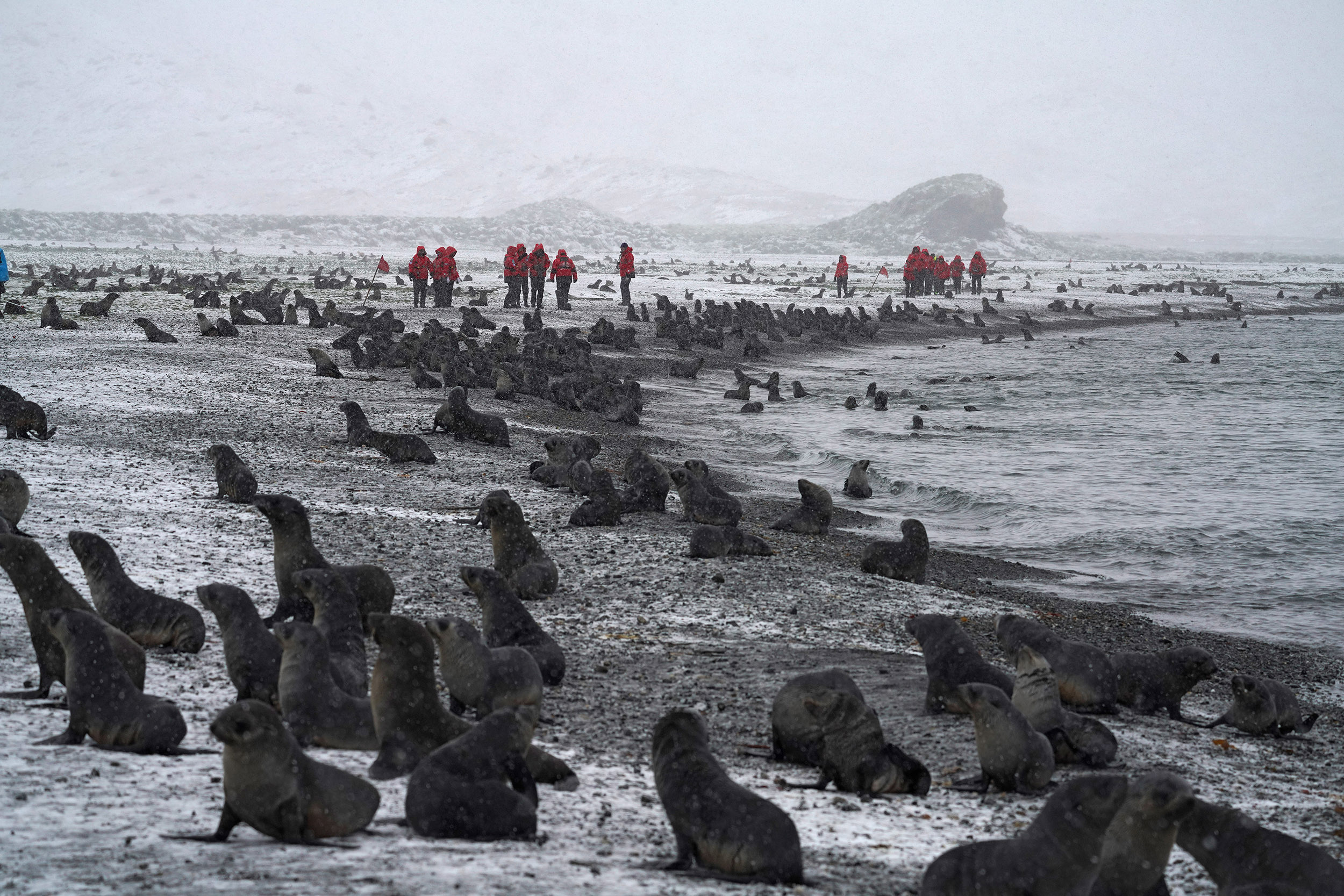 Husvik, ancienne station Baleinière