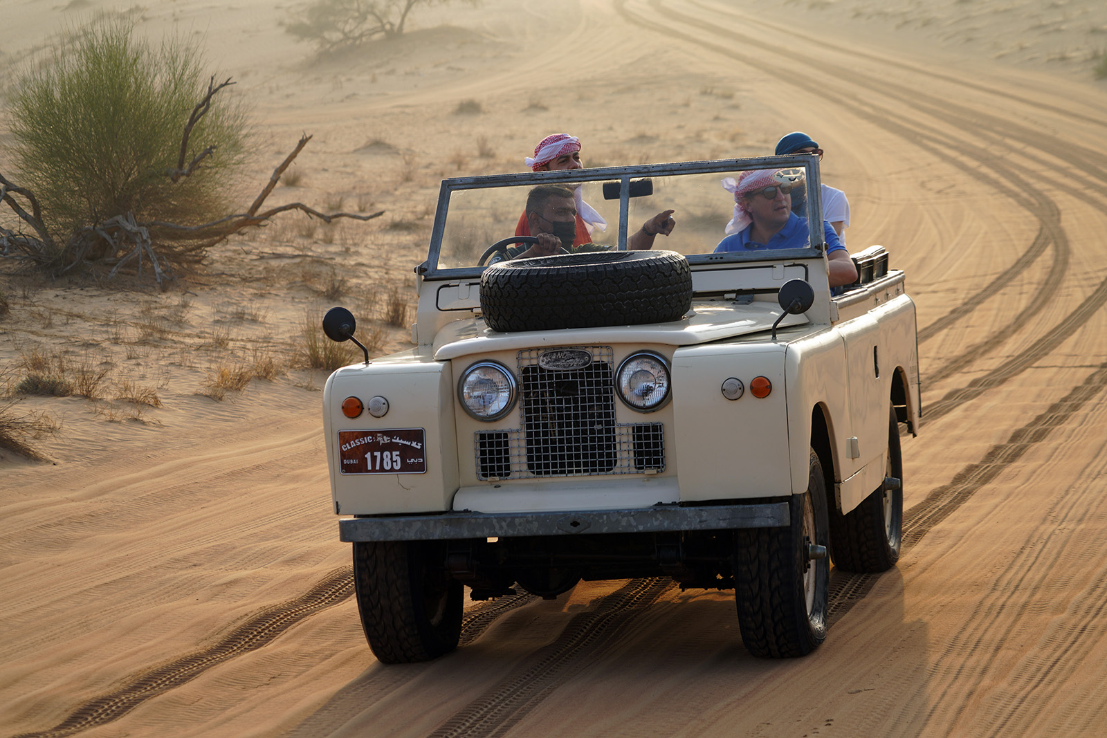 Safari dans le désert