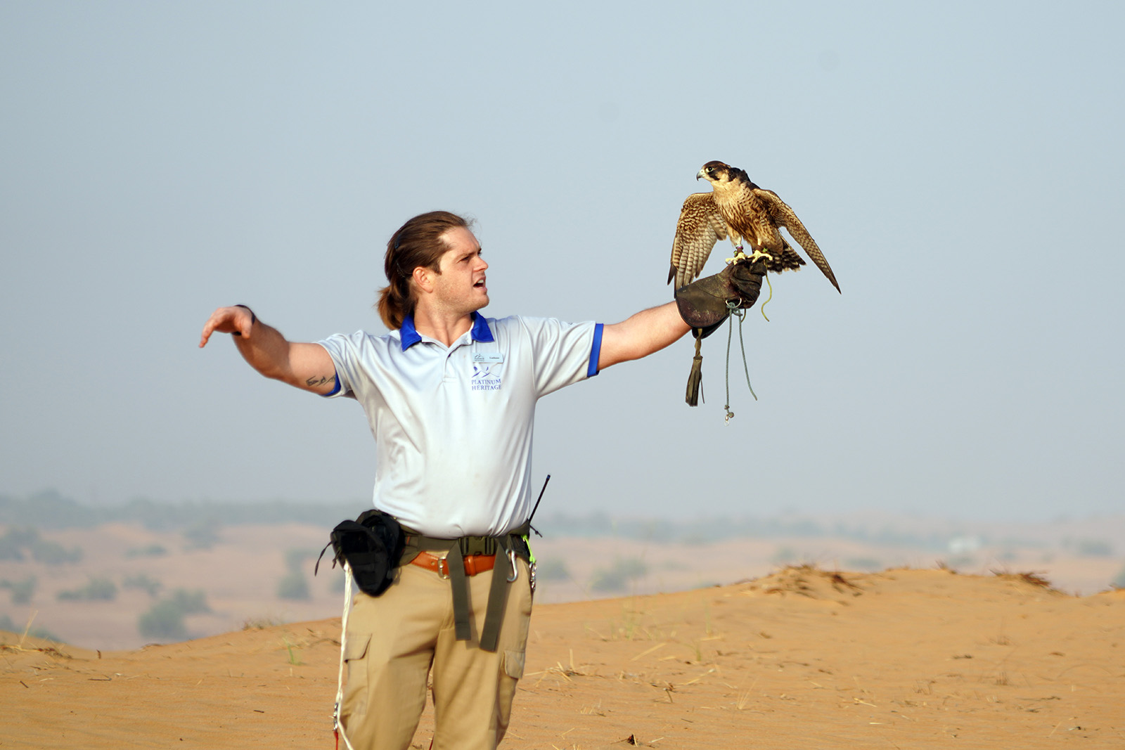 Démonstration de Fauconnerie