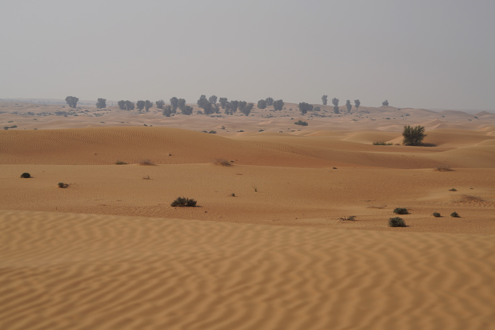 Dunes du désert de Dubaï